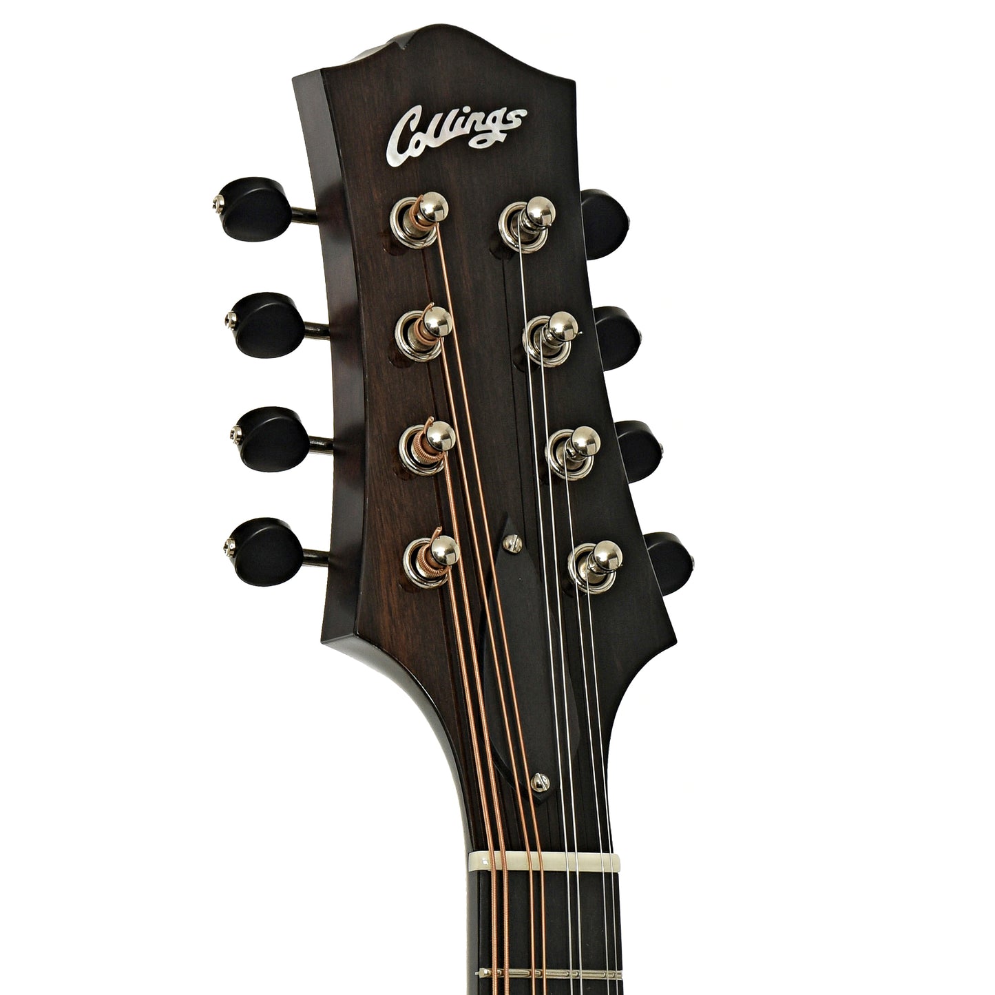 Headstock of Collings MT O Oval Hole A-Style Mandolin  
