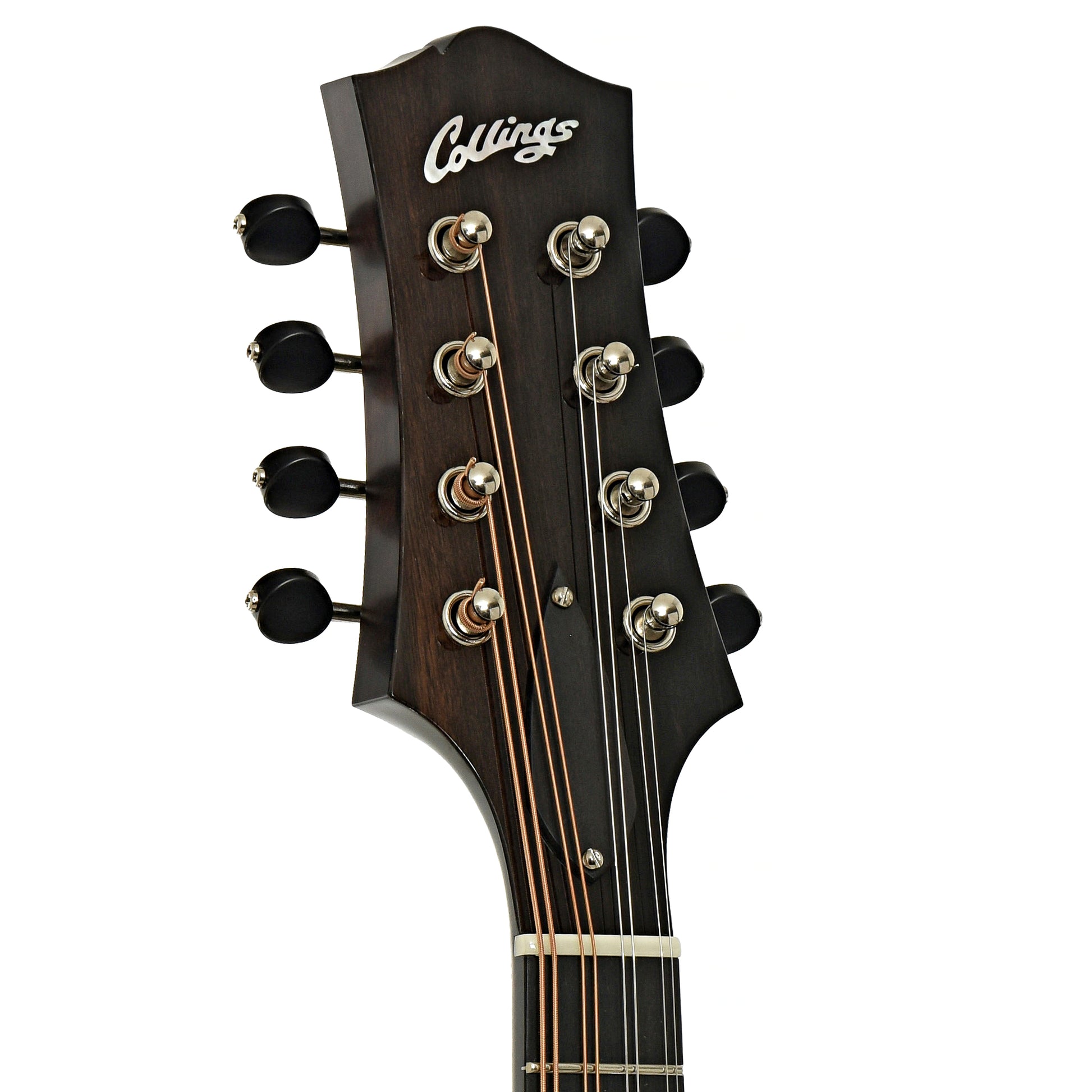 Headstock of Collings MT O Oval Hole A-Style Mandolin  
