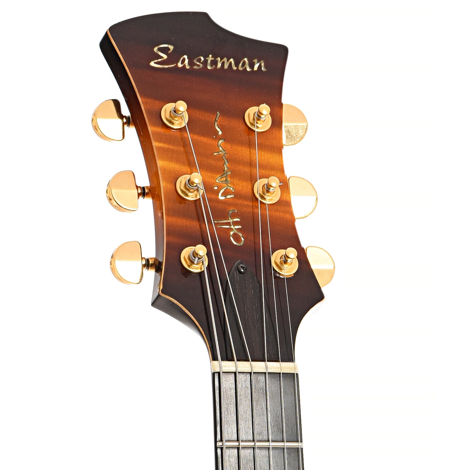 Front headstock of Eastman Otto D'Ambrio ER2