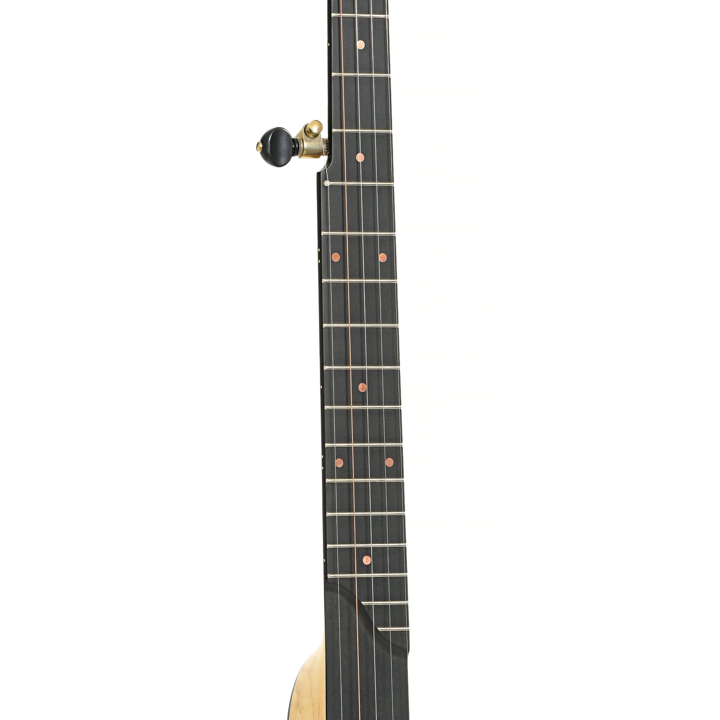 Fretboard of Pisgah Banjo Co. 11" Laydie Openback Banjo