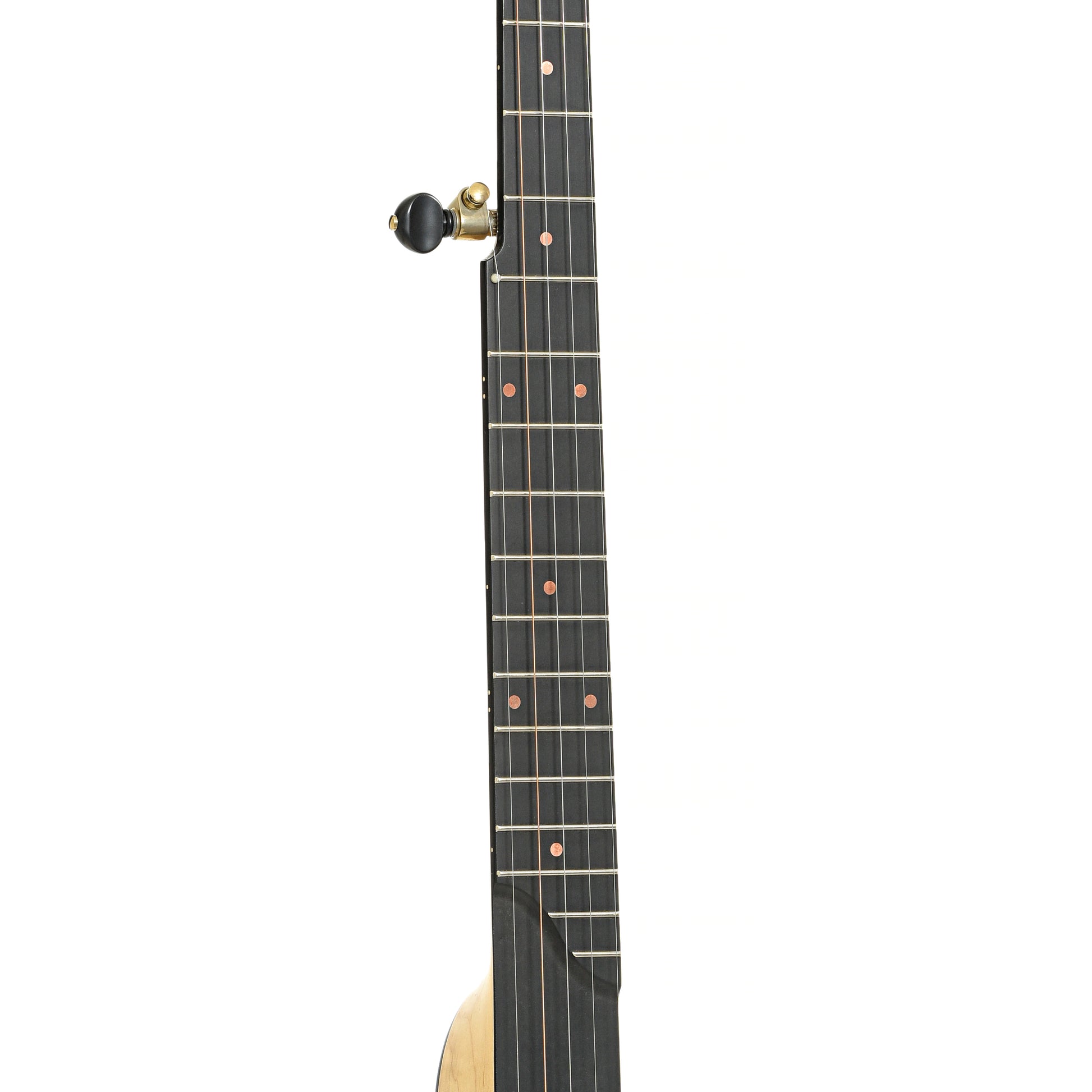 Fretboard of Pisgah Banjo Co. 11" Laydie Openback Banjo