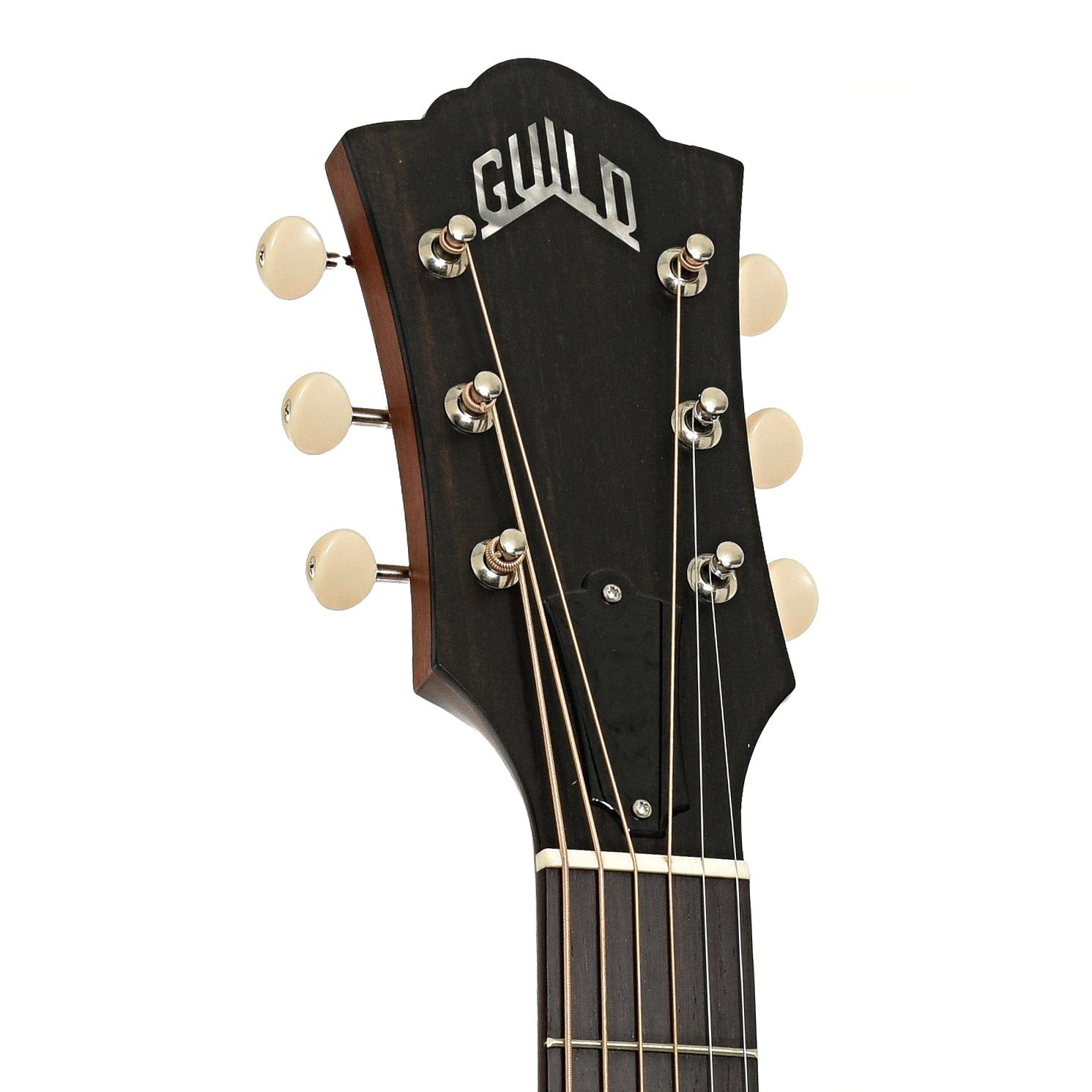 Headstock of Guild M-20E Acoustic-Electric Guitar, Natural