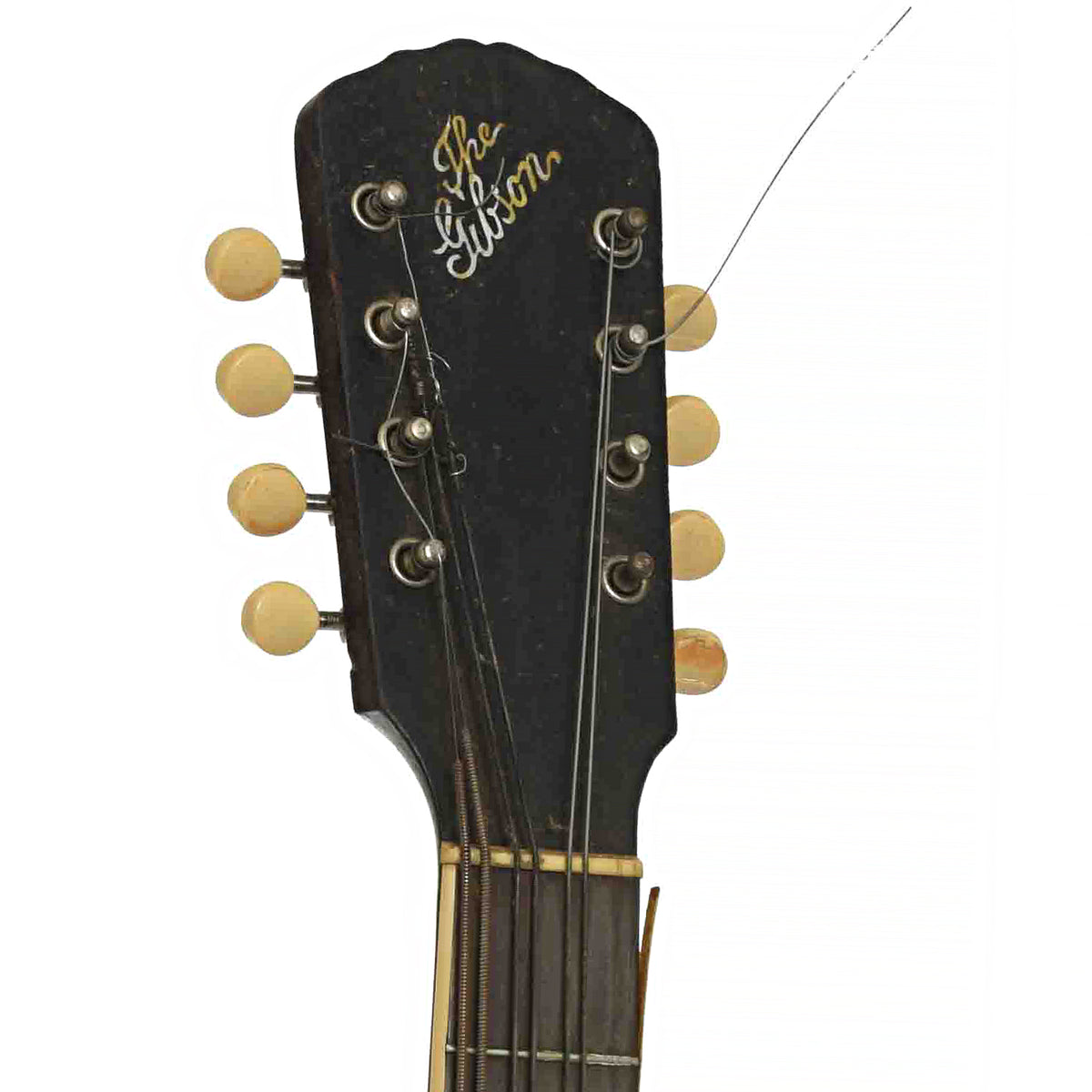 Front headstock of K-1 Mandocello