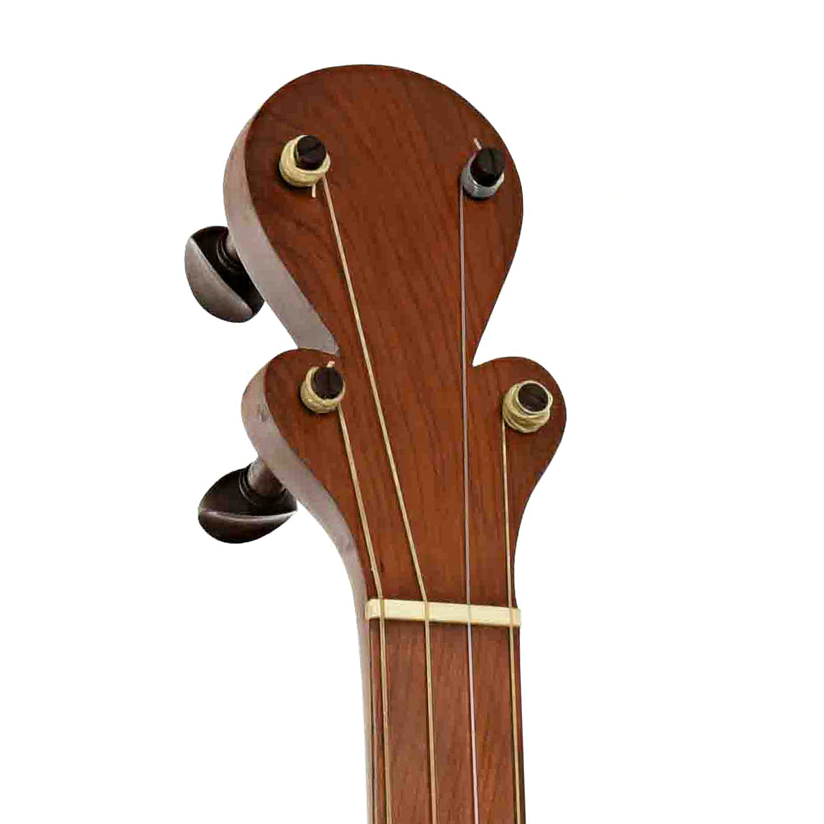 Headstock of Menzies Mike Seeger Grain Measure Tack Head Banjo 