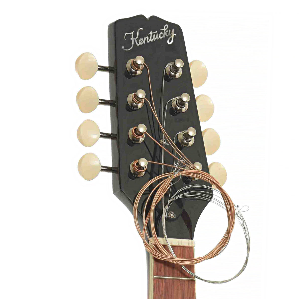Front headstock of Kentucky KM-150 A-Model