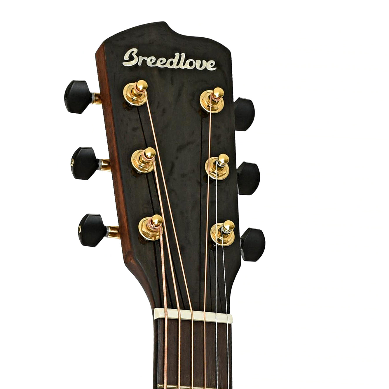 Headstock of Breedlove Performer Pro Concerto Aged Toner CE European-EI Rosewood Acoustic Electric Guitar