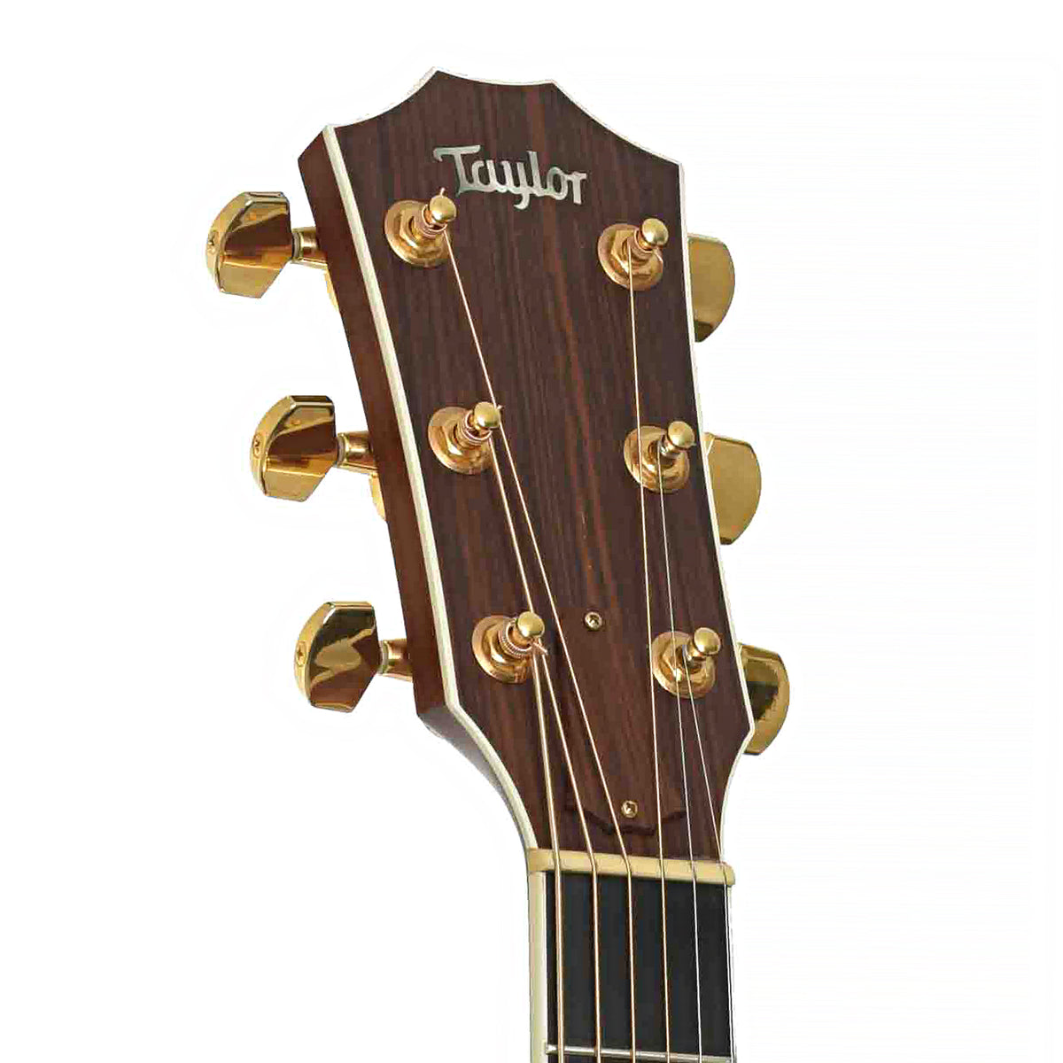 Front headstock of Taylor 814CE