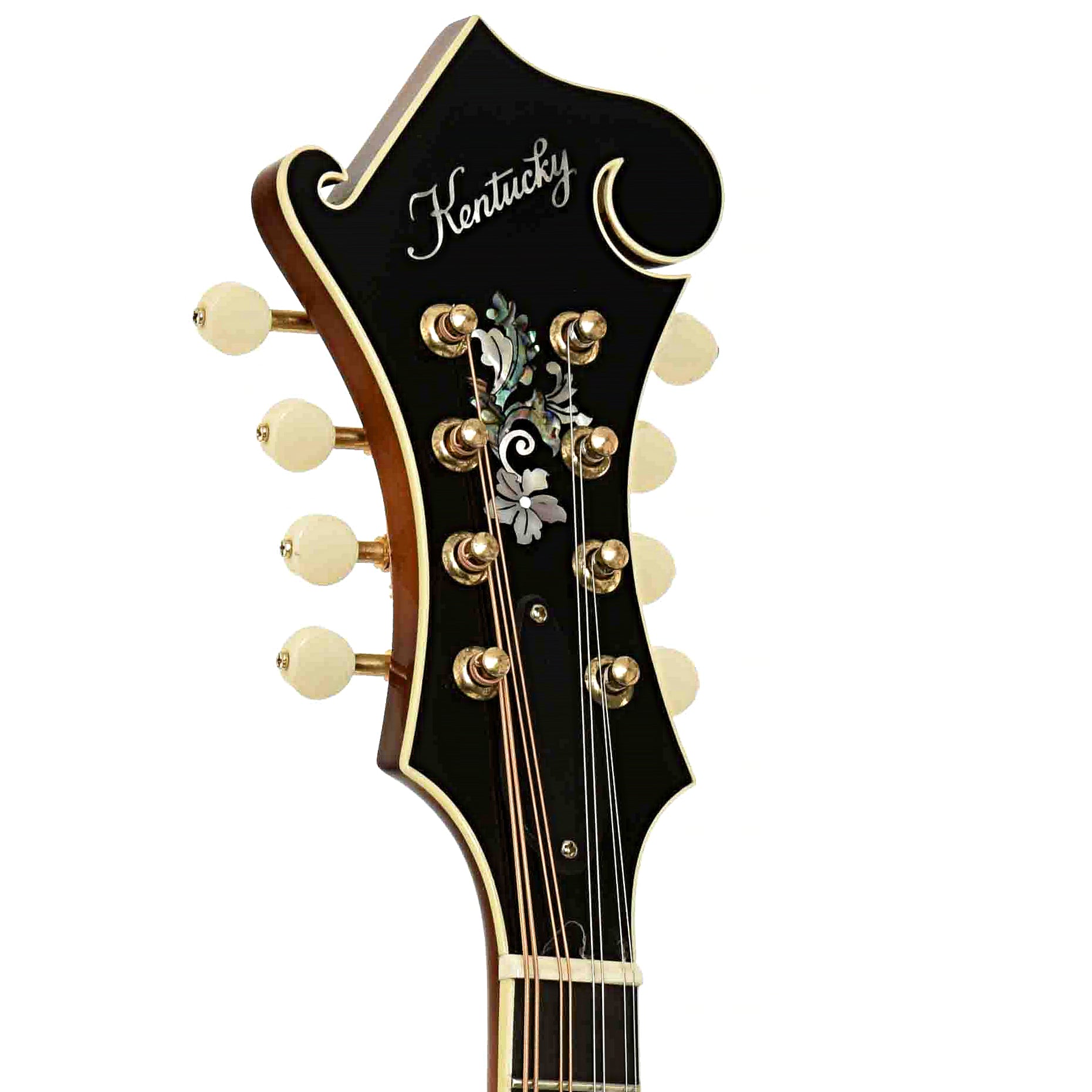 Headstock of Kentucky KM-858 Gold Artist F-Style Mandolin 