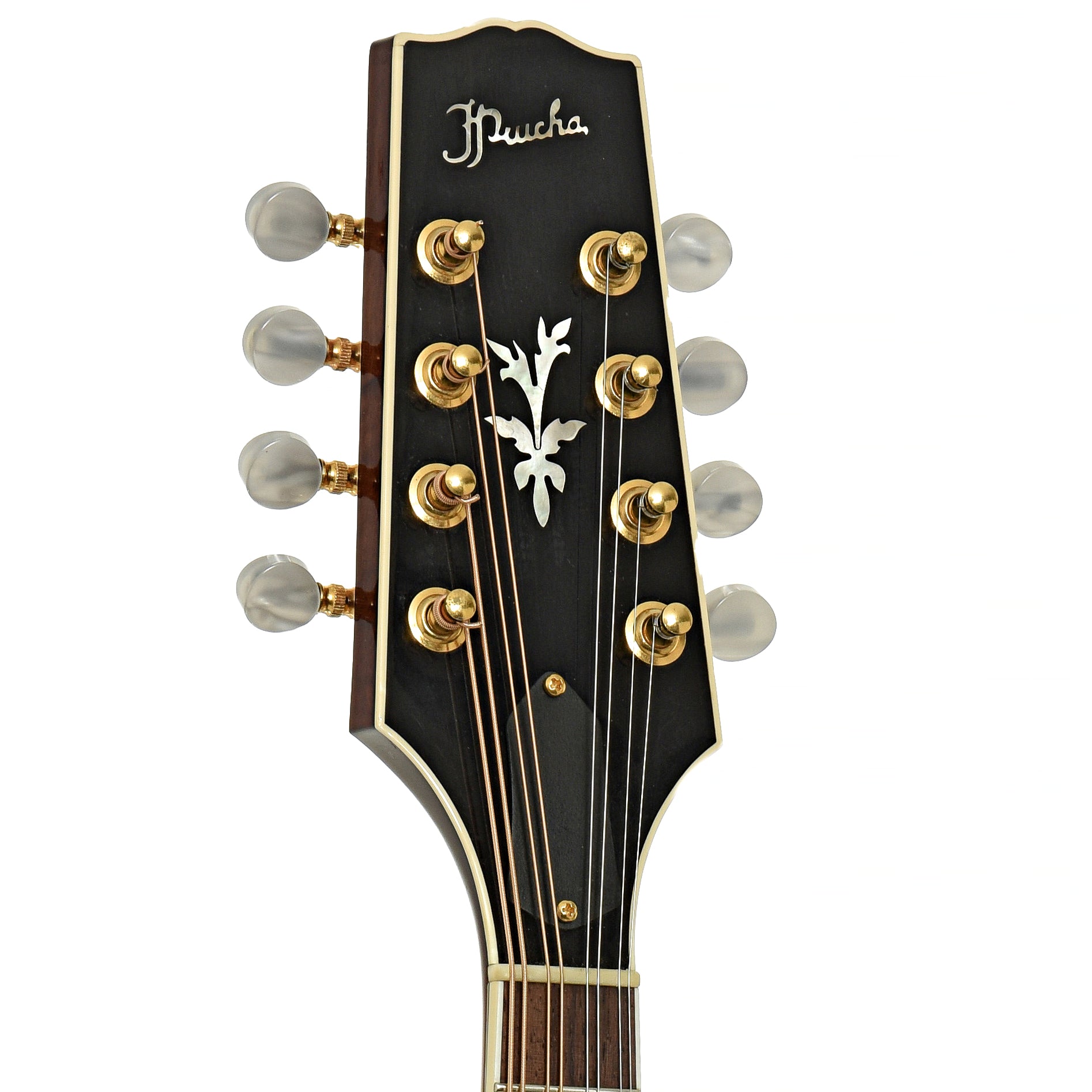 Headstock of Prucha A5 Standard Mandolin