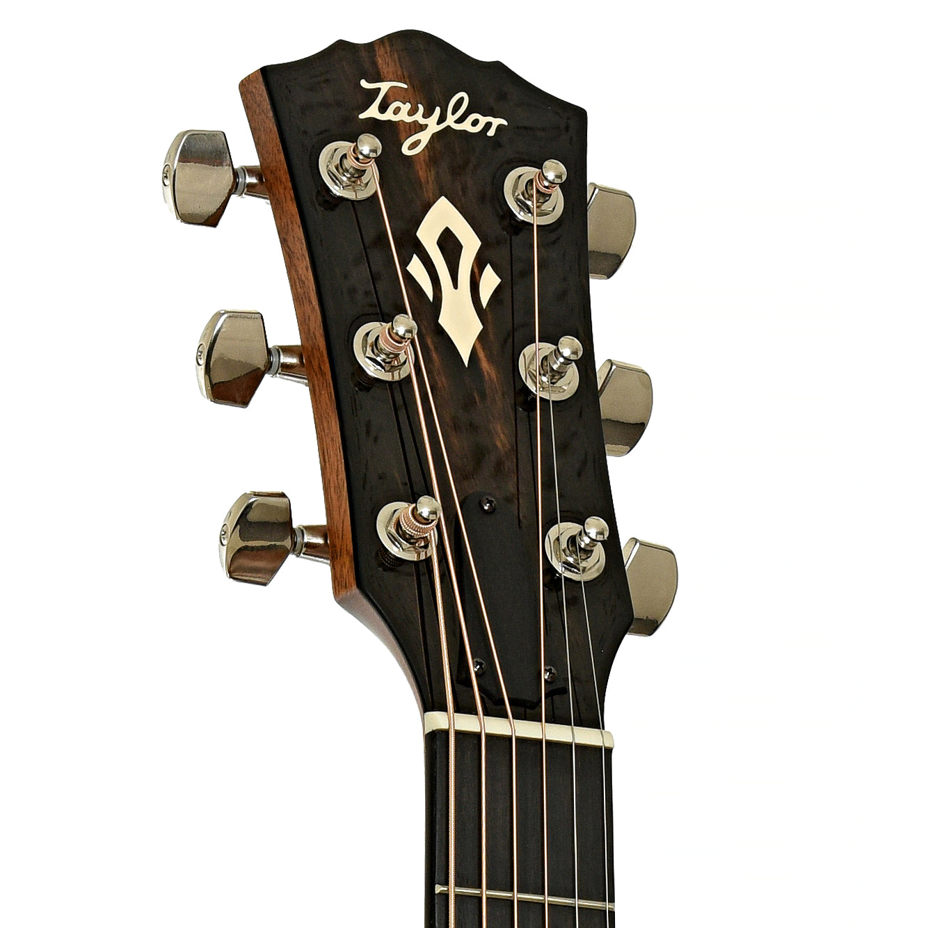 Headstock of Taylor Gold Label 510e Acoustic-Electric Guitar
