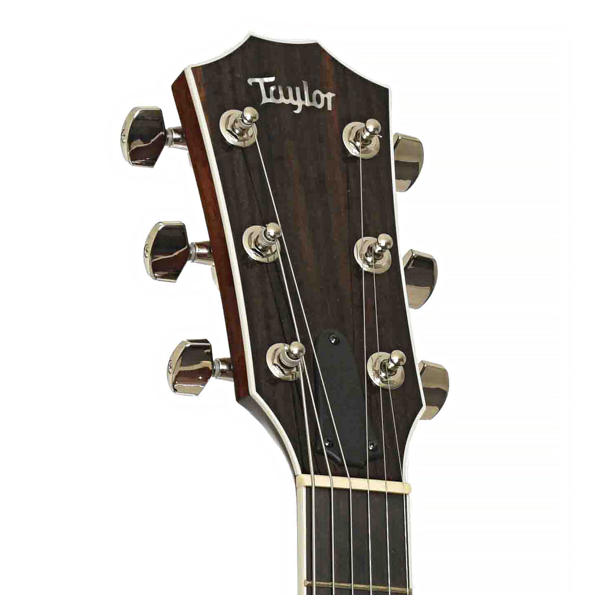 Front headstock of Taylor T-5 Standard