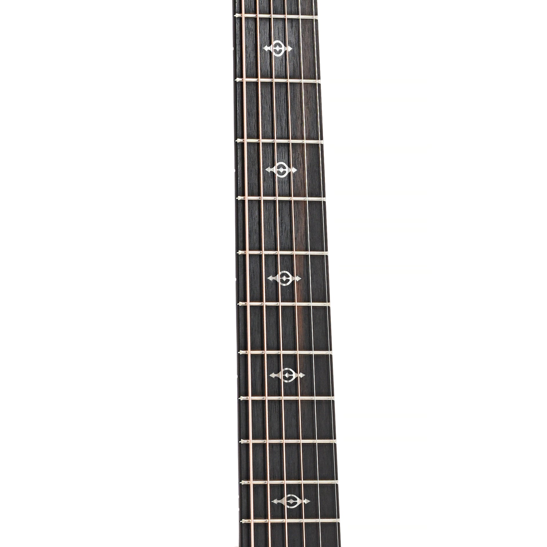 Fretboard of Taylor 224ce-K Deluxe Acoustic 