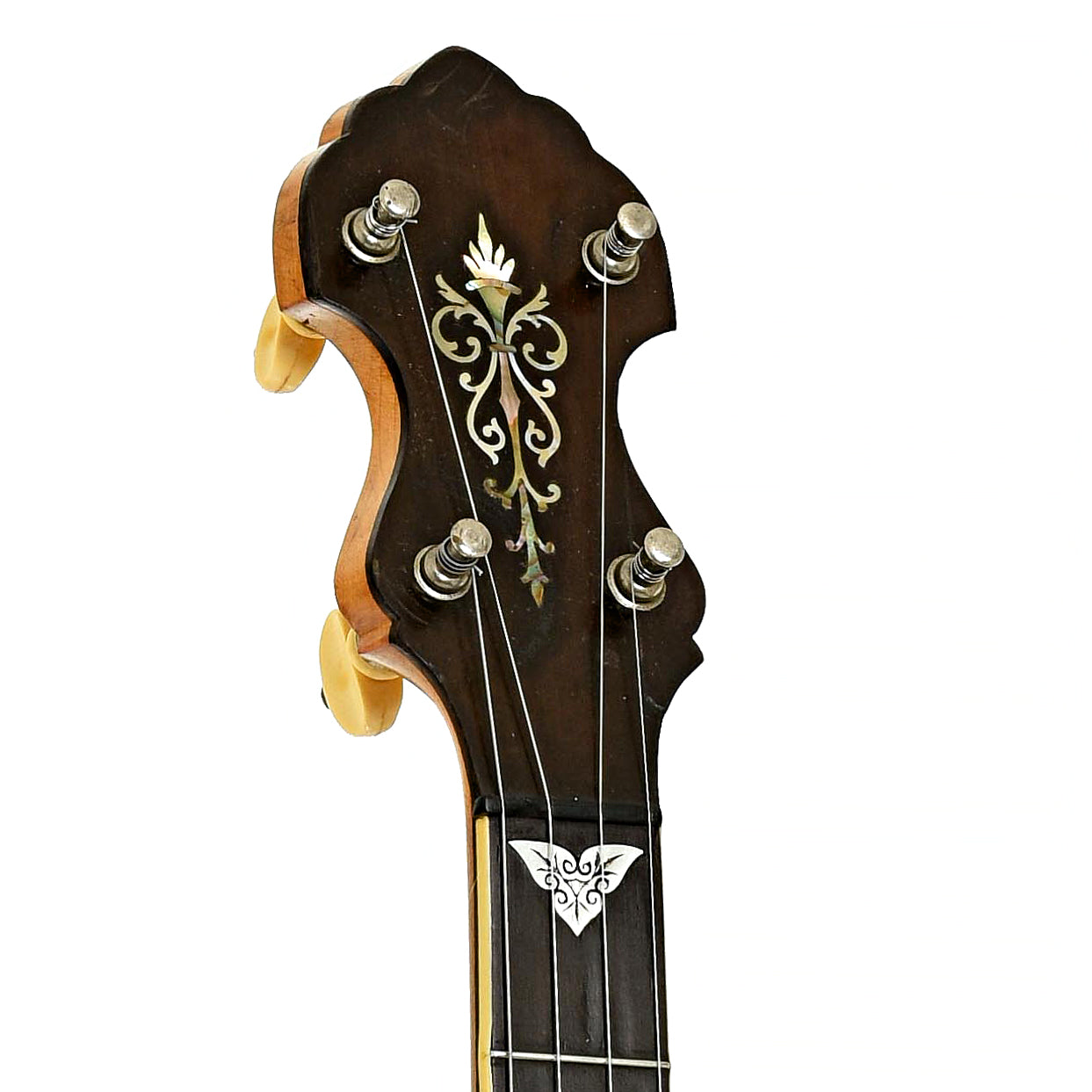Headstock of Bacon Professional FF Open Back Banjo