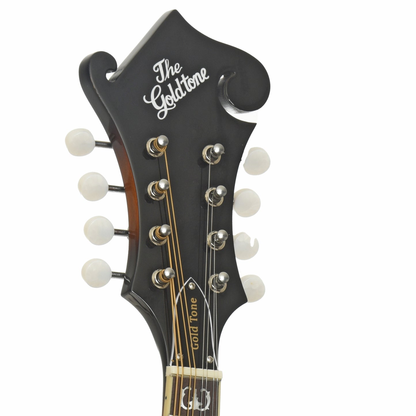 Gold Tone GM-35 F-Style Mandolin & Case