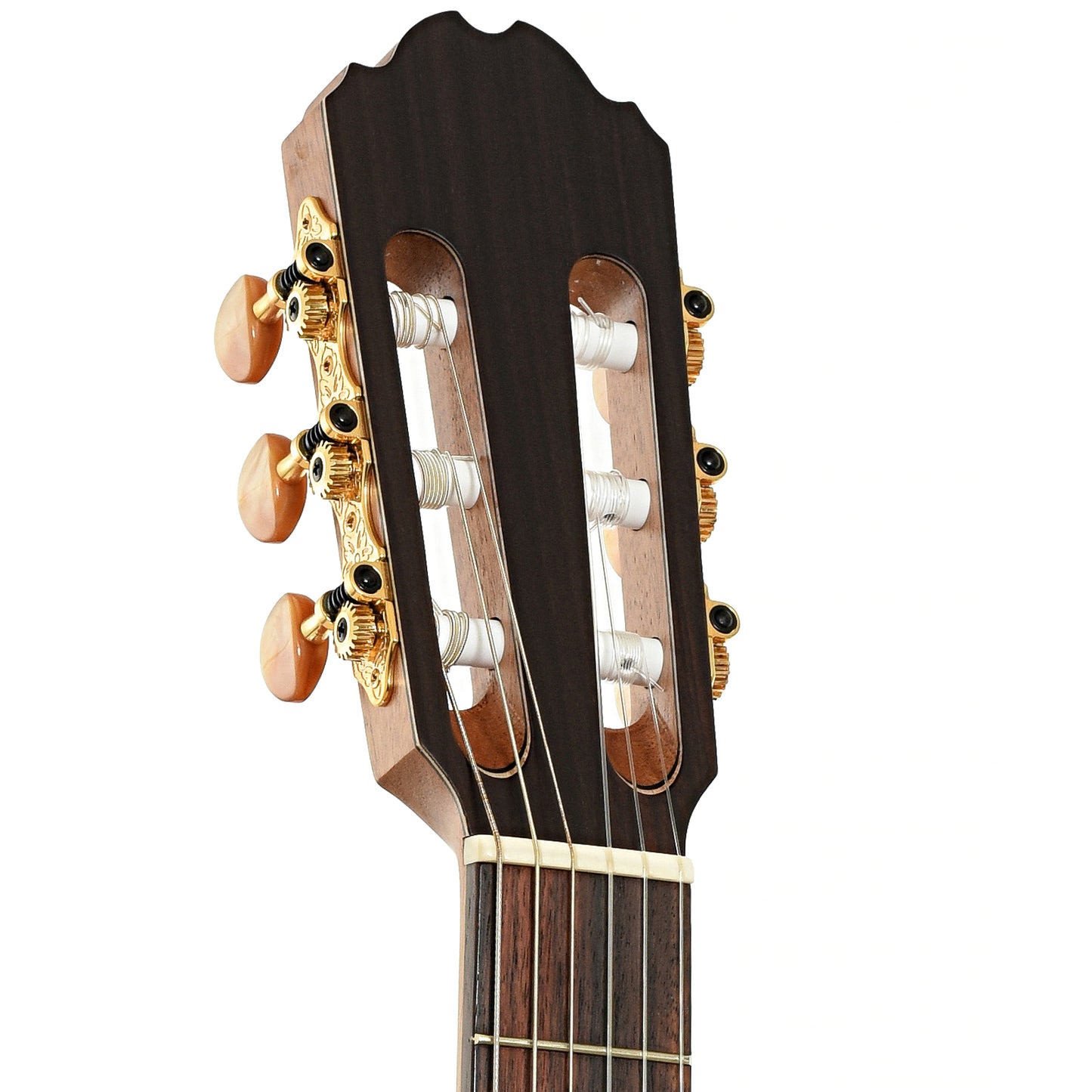 Headstock of Kremona Performer Series Sofia S63CW Classical Guitar 