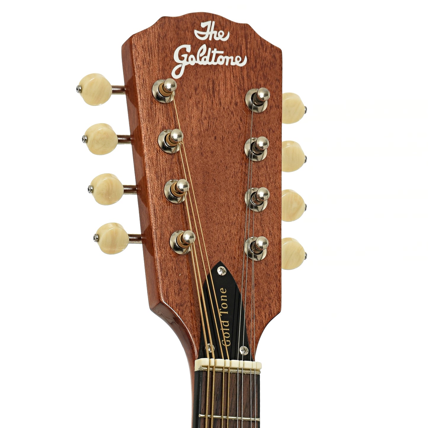 Headstock of Gold Tone Frypan Mandolin