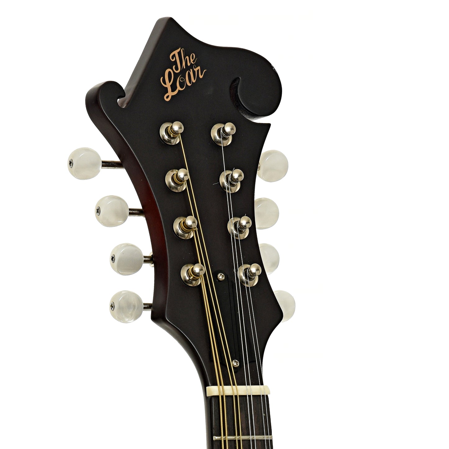 Headstcok of The Loar "Honey Creek" F-Style Mandolin