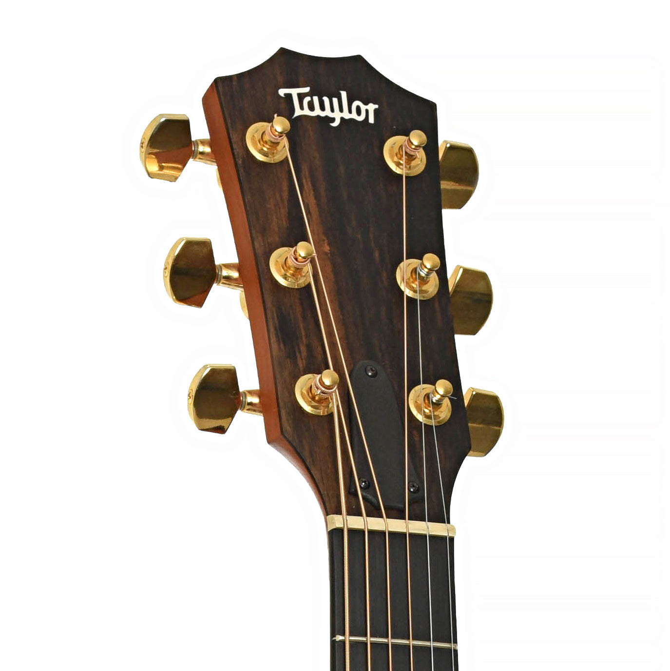 Headstock of Taylor 214CE Deluxe Acoustic-Electric Guitar