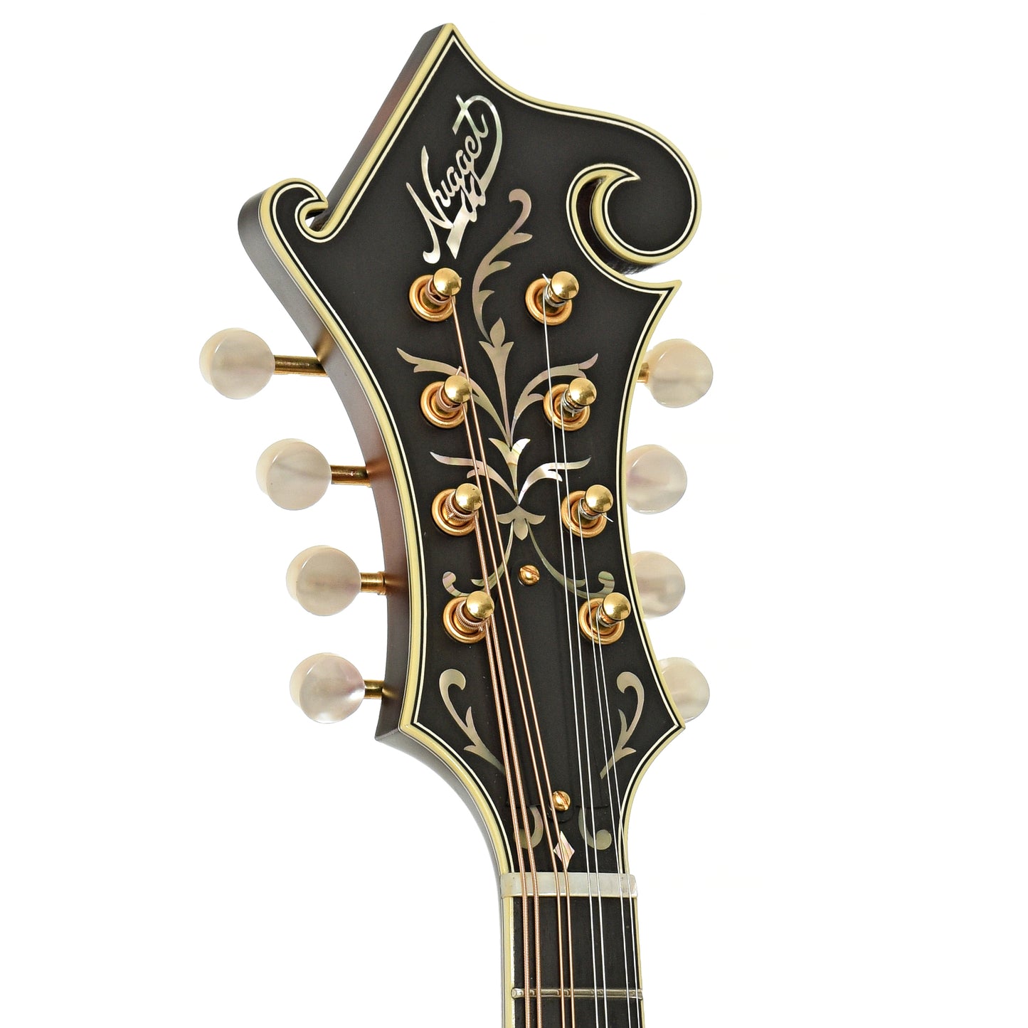 Headstock of Nugget F Mandolin  
