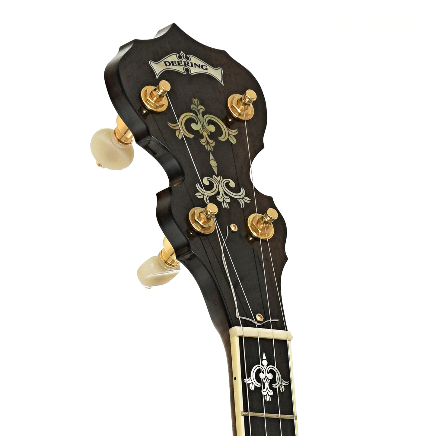 Headstock of Deering 50th Anniversary Limited Edition Resonator Banjo