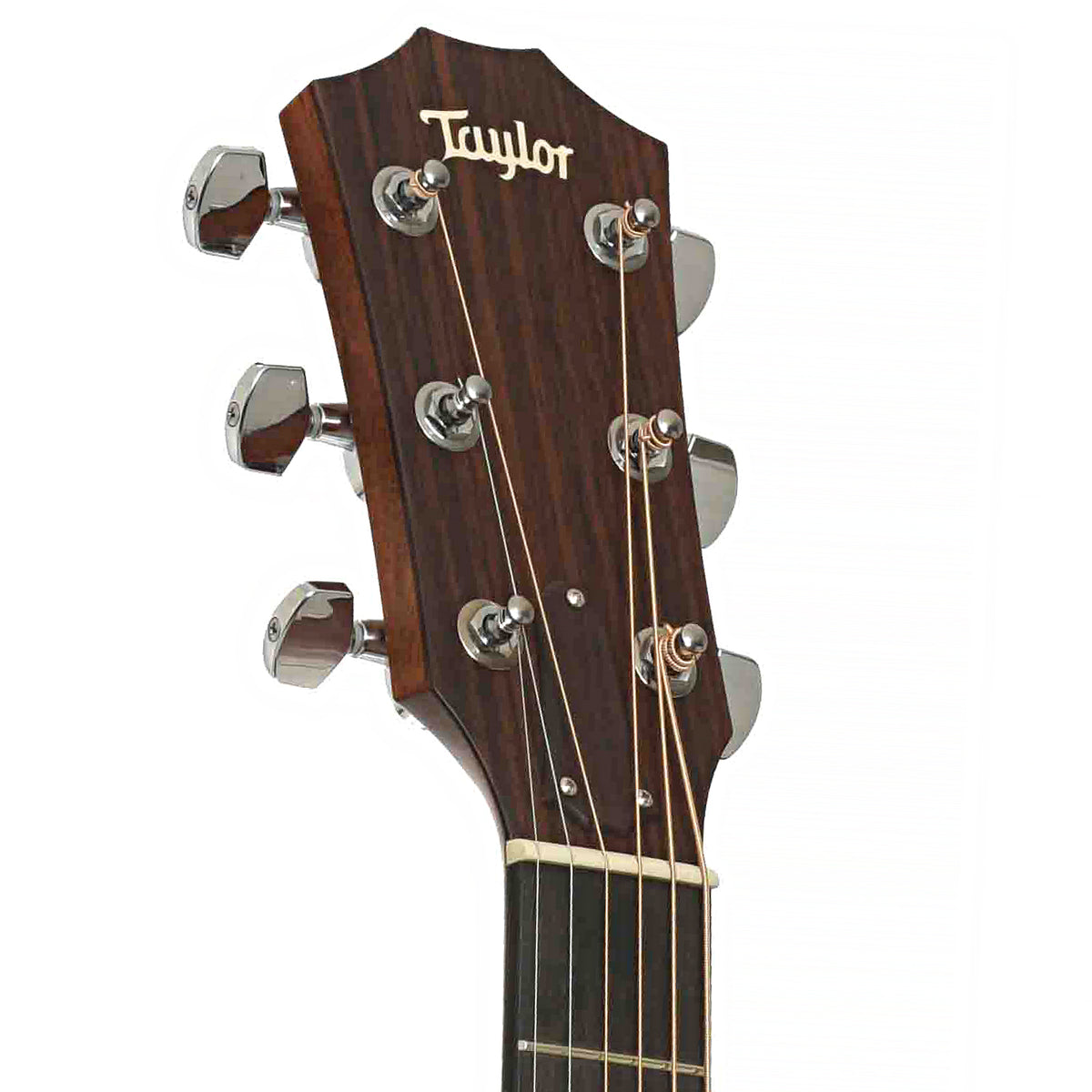 Front Headstock of Taylor 314CE LH Acoustic-Electric Guitar