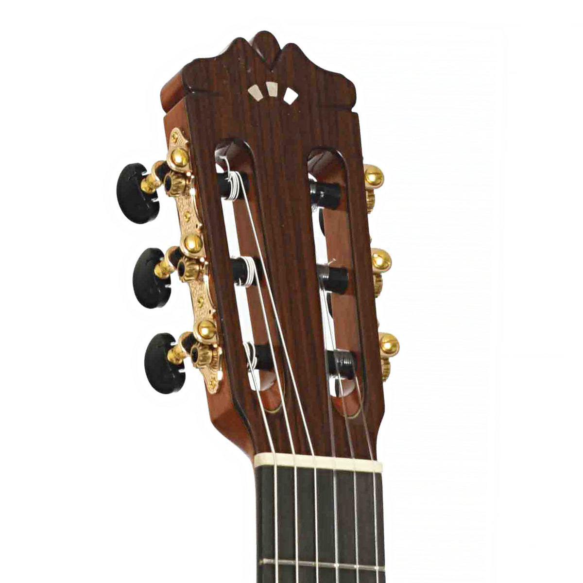 Front headstock of Cordoba F-10 Flamenco Guitar
