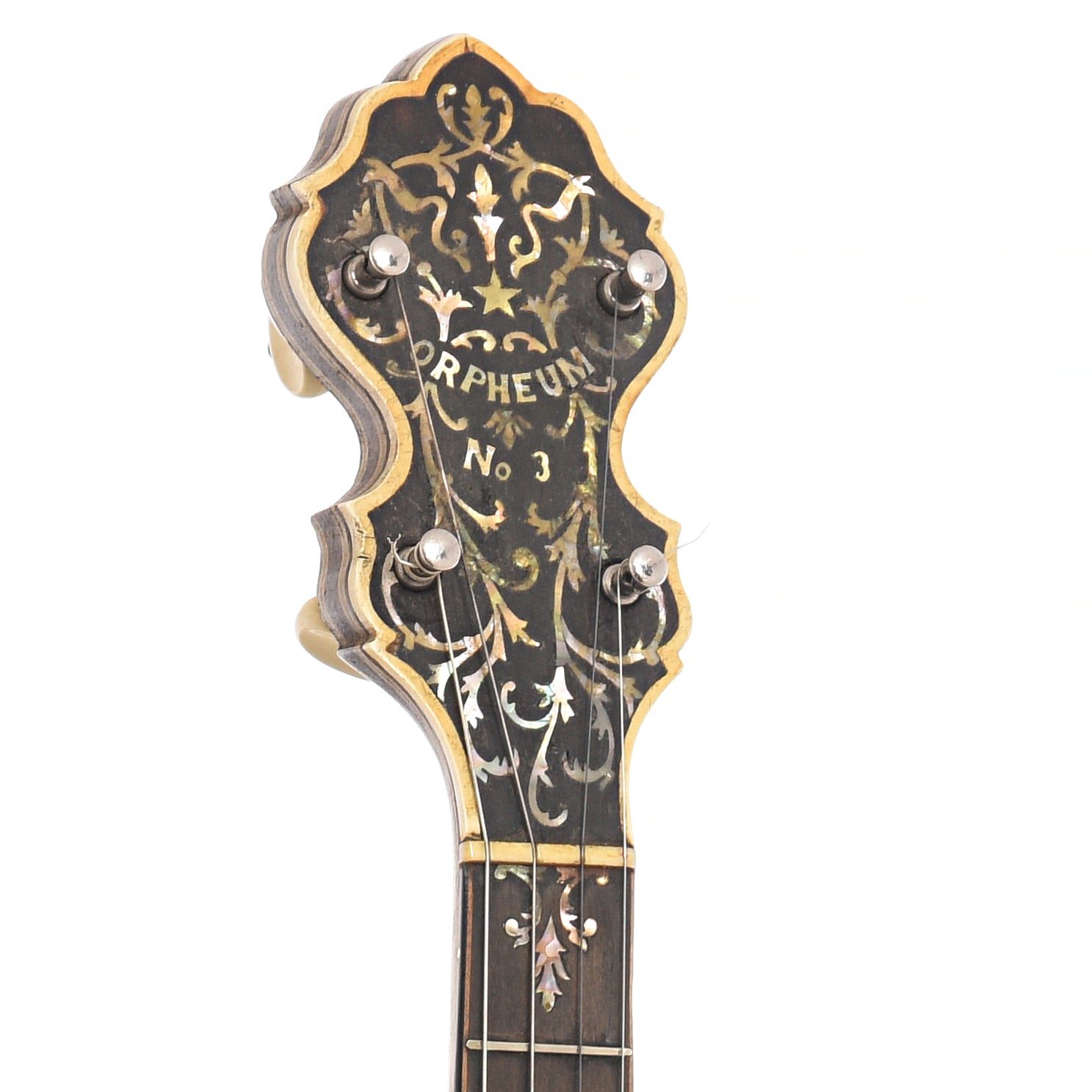 Headstock of Orpheum No.3 Special Tenor Banjo (c.1919)
