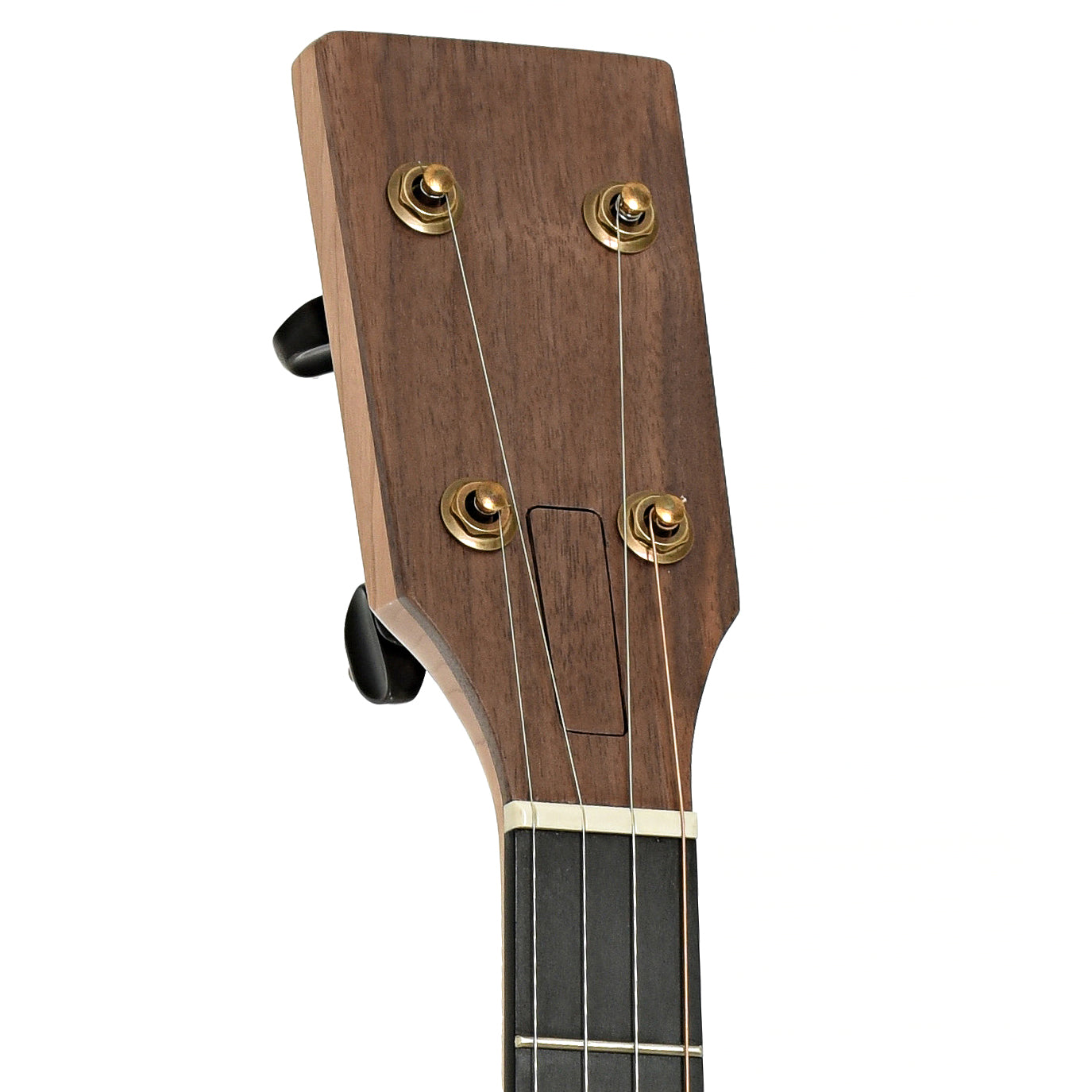 Headstock  of Pisgah Roscoe 12" Lefthanded Openback Banjo                            
