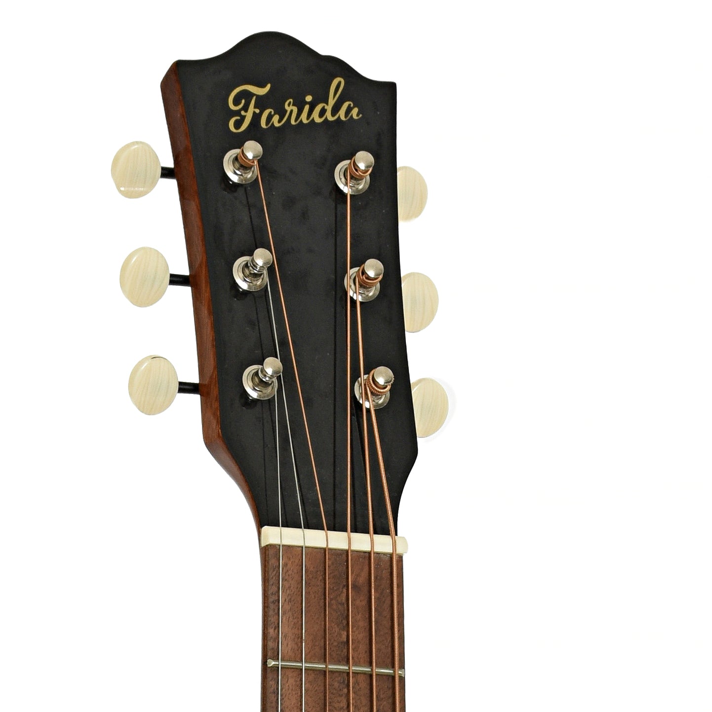 Headstock of Farida OT-62 LH VBS Acoustic Guitar 