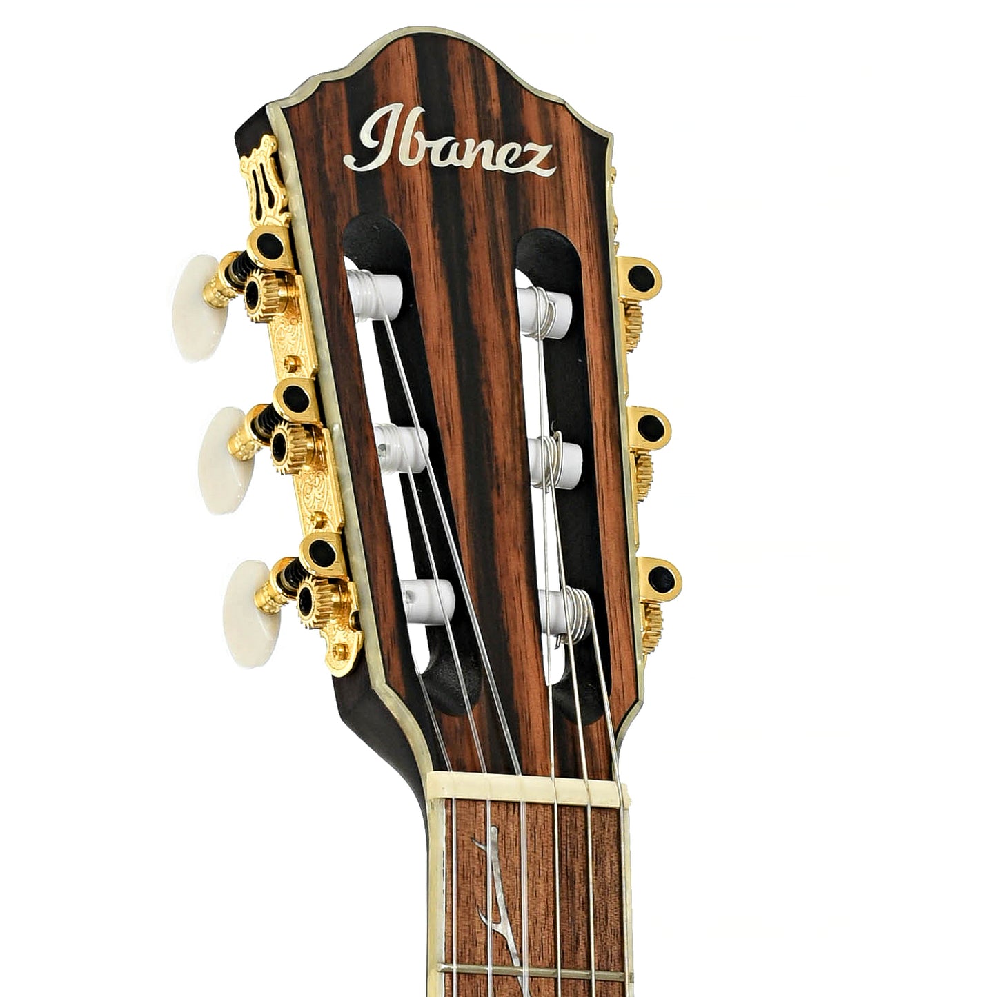Headstock of Ibanez TOD10NL Tim Henson Signature Acoustic-Electric Nylon String Guitar - Left Handed, Transparent Black Flat