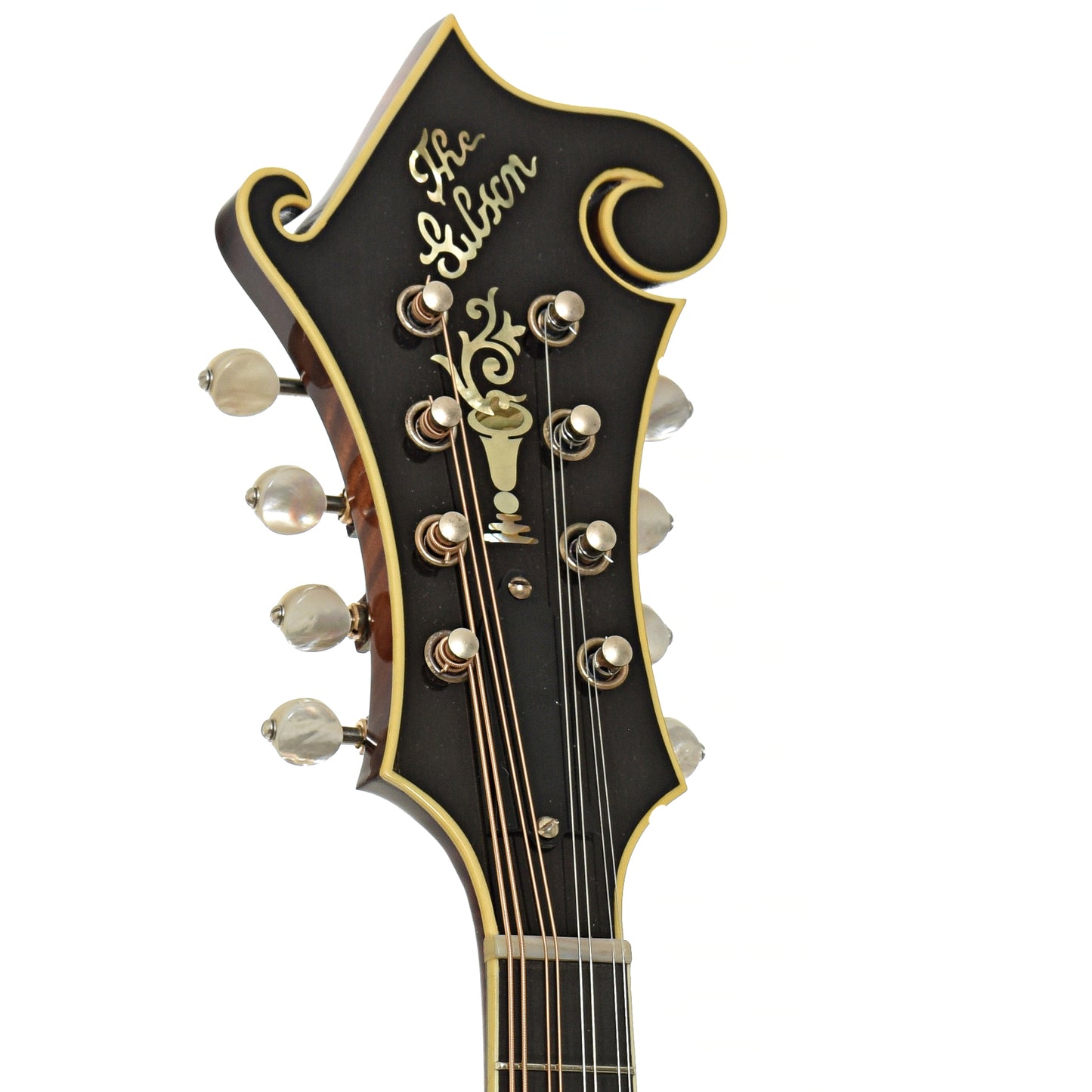 Headstock of Gibson Custom 1923 F-5 Master Model Reissue Mandolin