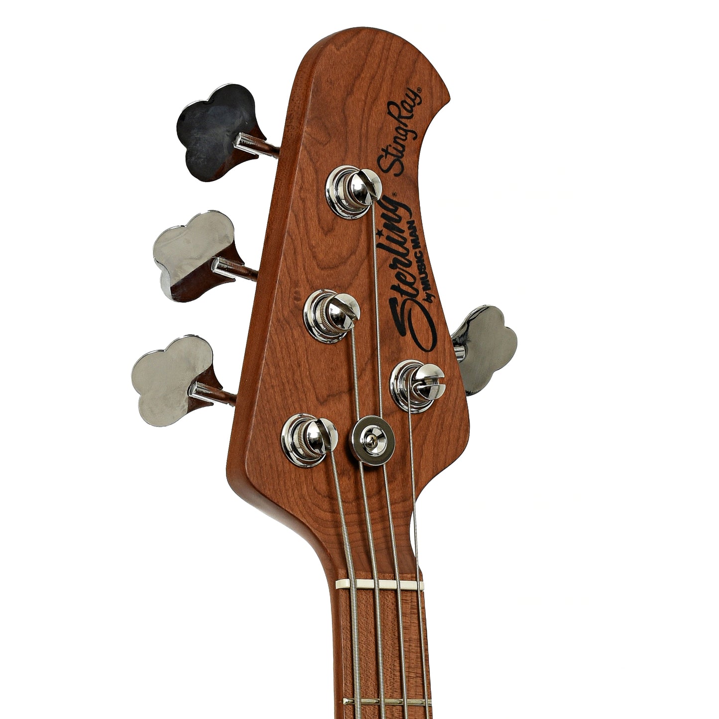 Headstock of Sterling by Music Man Stingray Short Scale Electric Bass, Charging Green