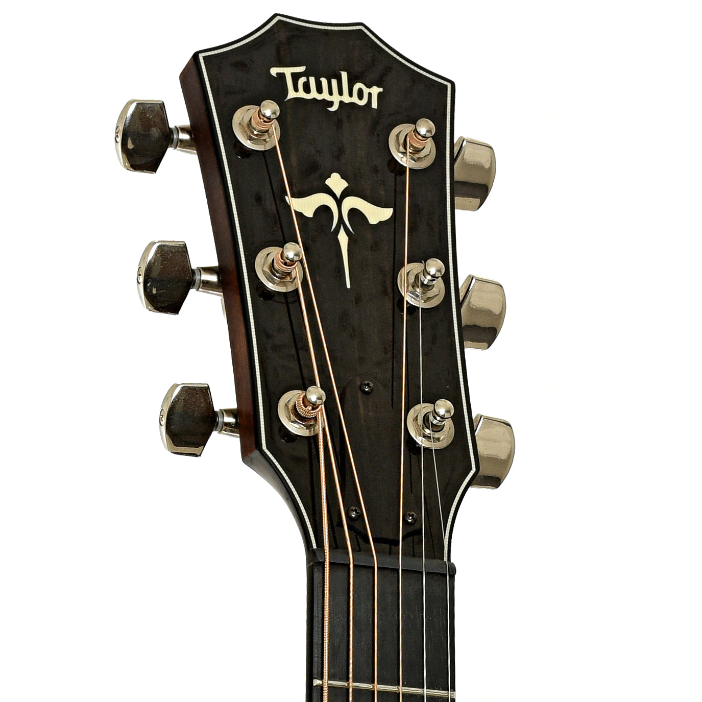 Headstock of Taylor 612ce Acoustic-Electric Guitar 