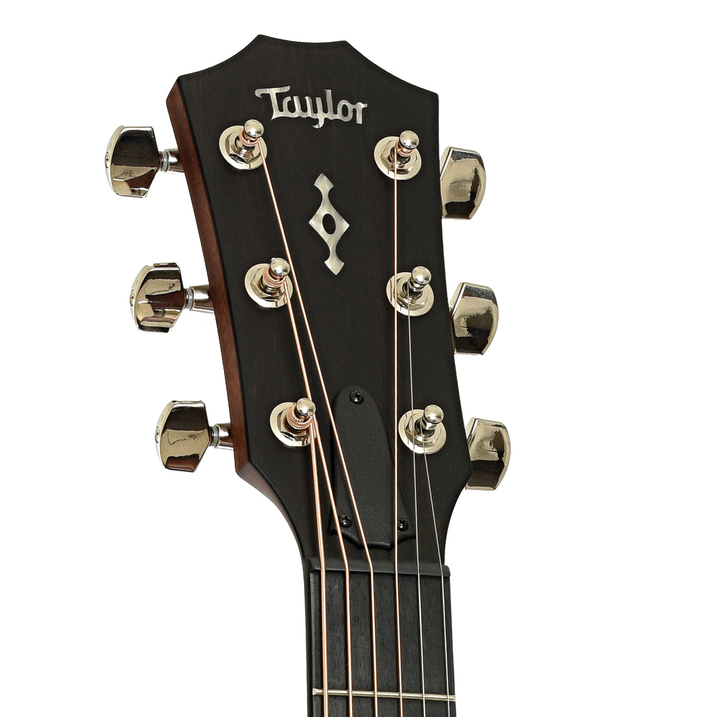 Headstock of Taylor Next Generation 414ce Acoustic Guitar