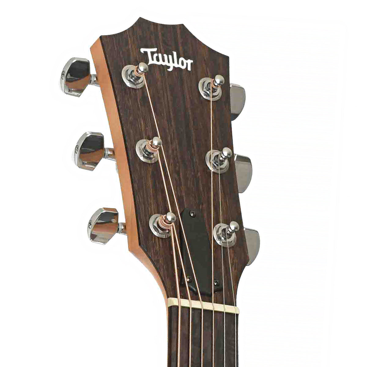 Taylor 114ce Acoustic-Electric Guitar & Gigbag, Headstock Front