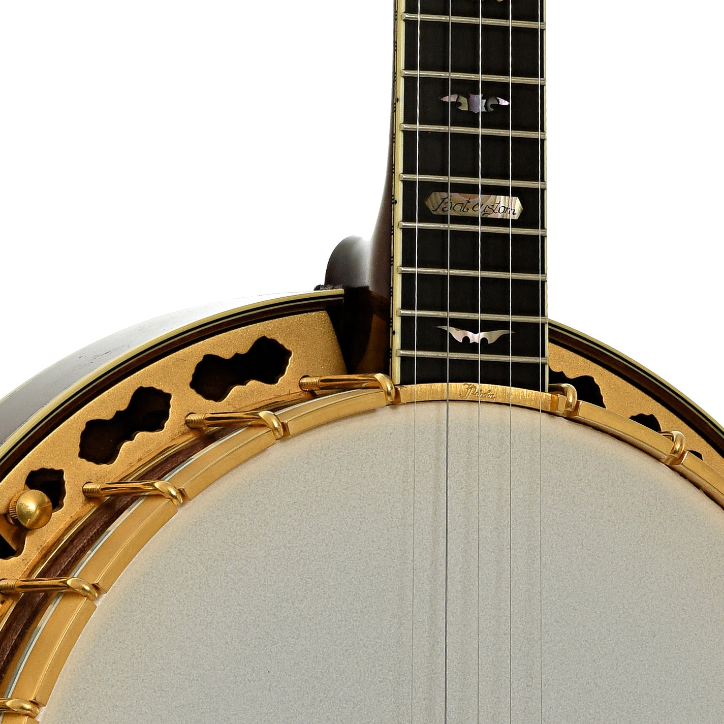 Neck joint of Prucha Bat Custom Resonator Banjo