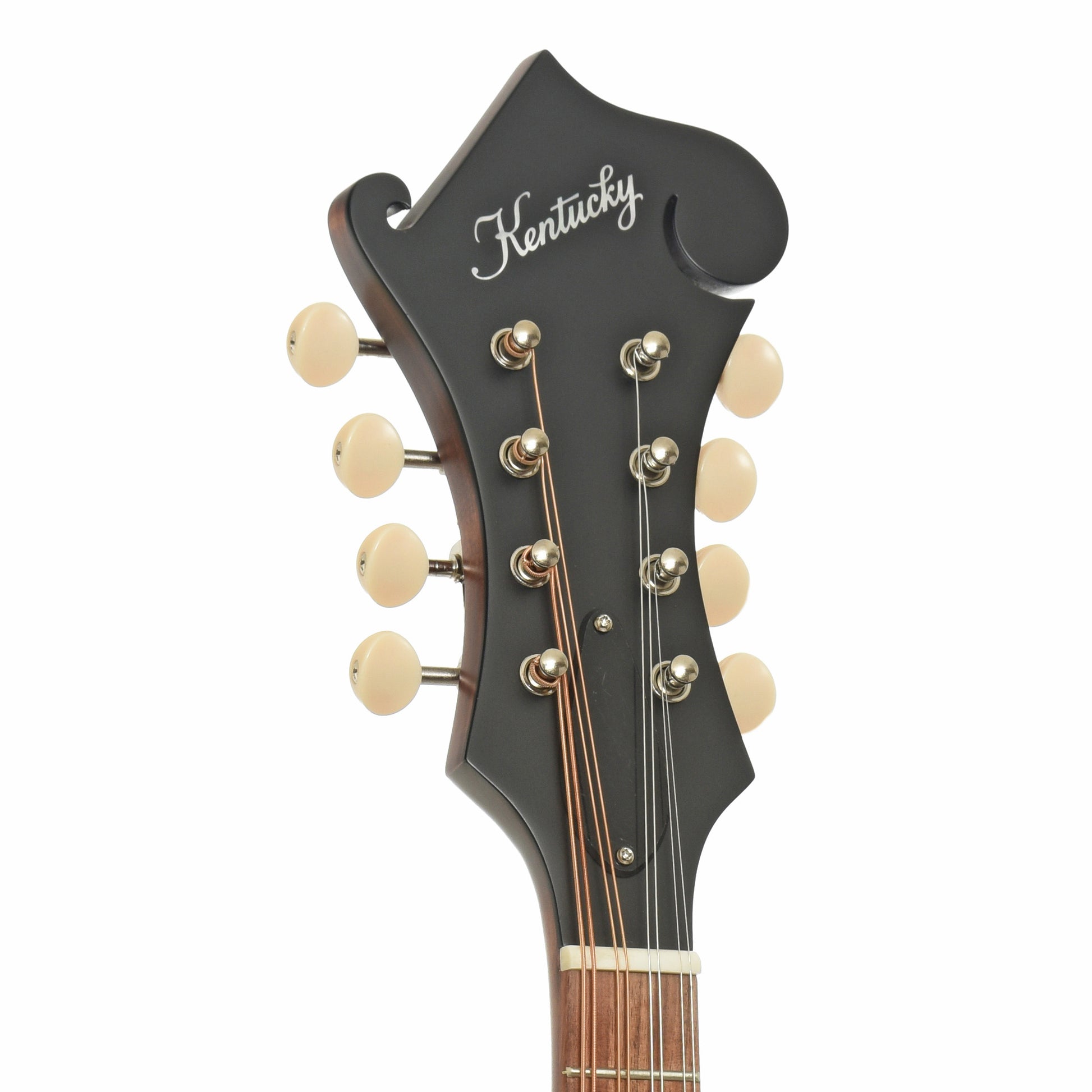 Headstock of Kentucky KM-626 F-Style Oval Hole Mandolin