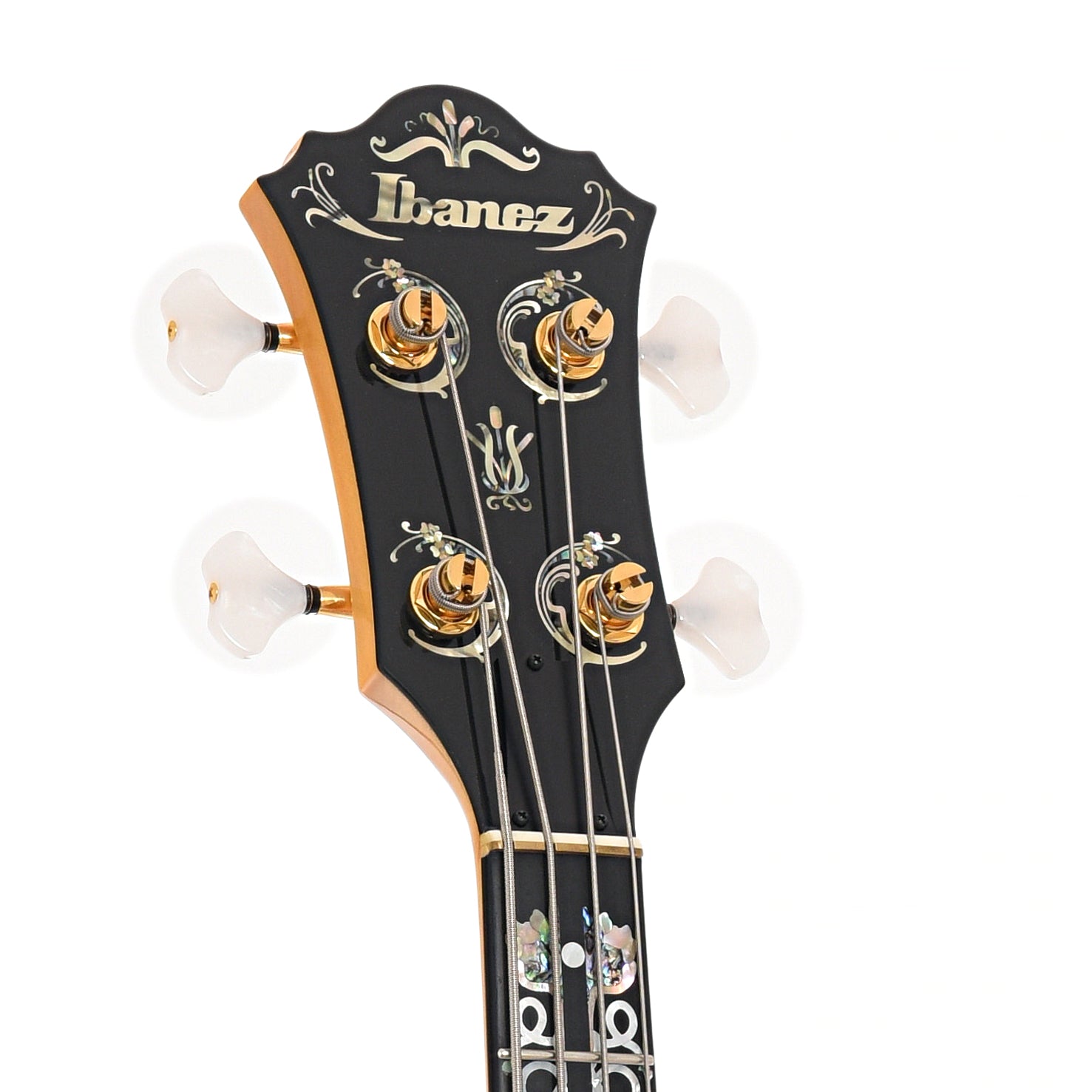 Headstock of Ibanez 30th Anniversary Musician Bass