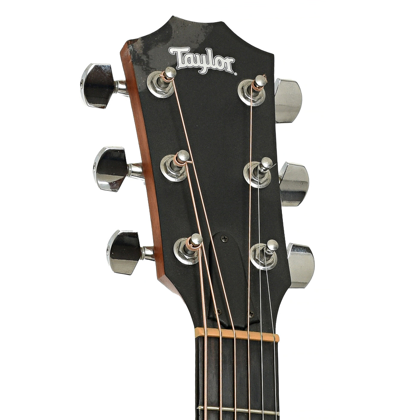 Headstock of Taylor Big Baby 307 Acoustic Guitar