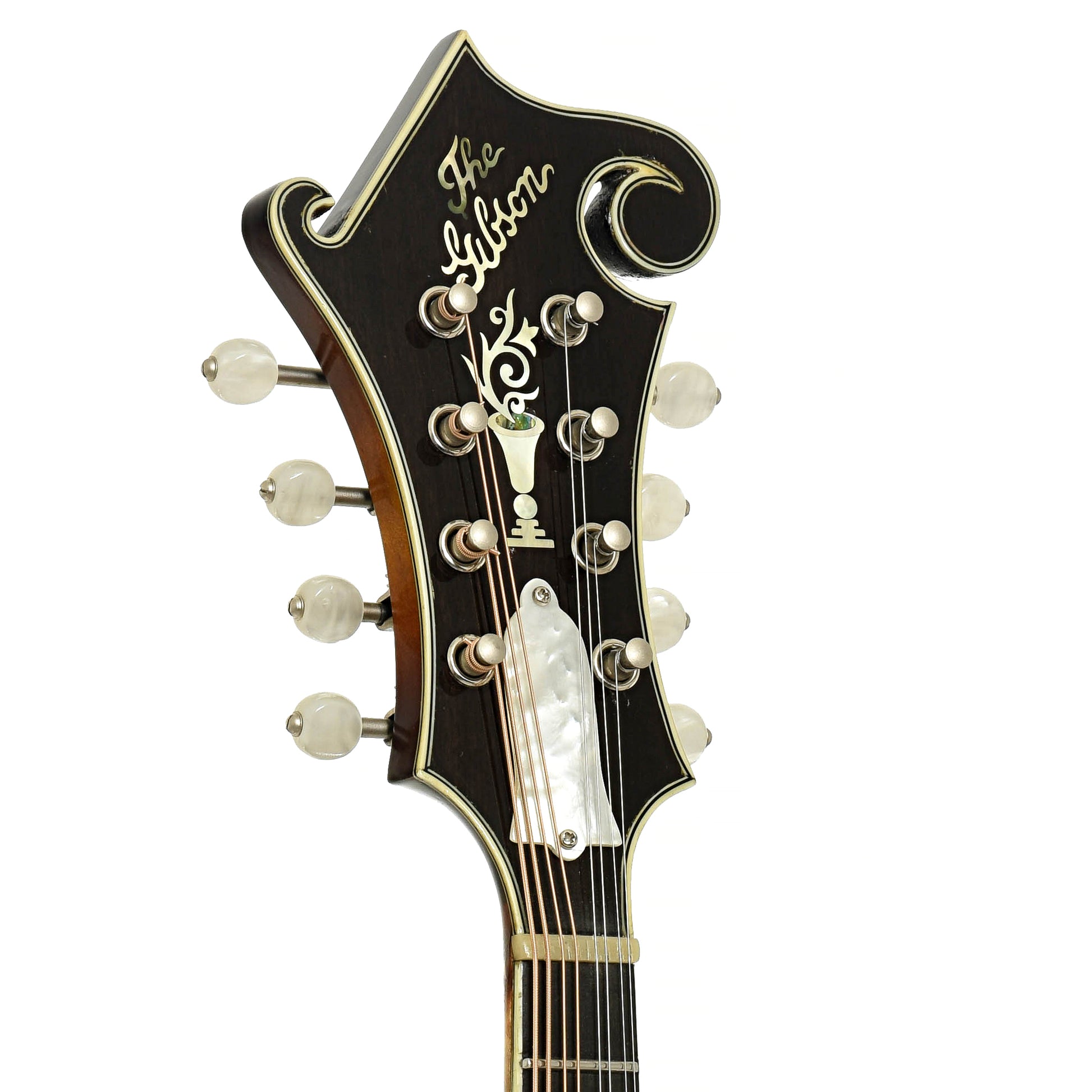 Headstock of Gibson F-5G Mandolin