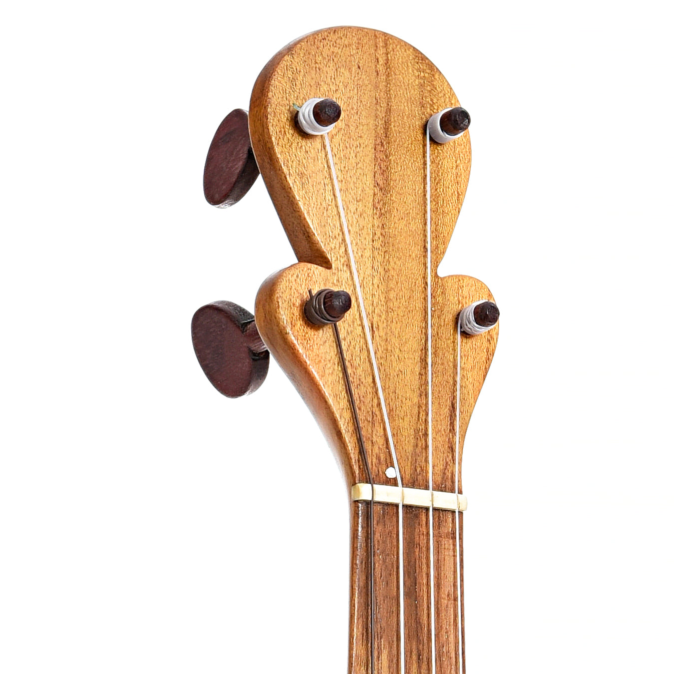 Front headstock of Menzies Fretless Gourd Banjo #579