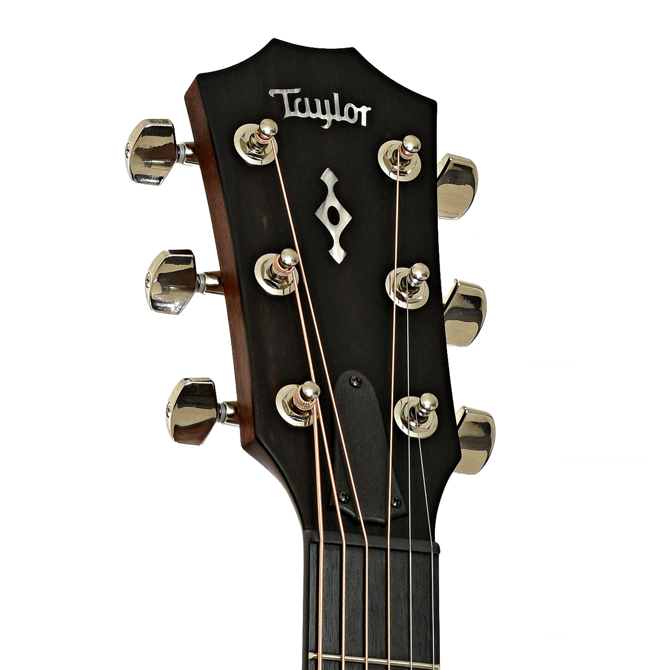Headstock of Taylor Next Generation 314ce Acoustic-Electric Guitar 