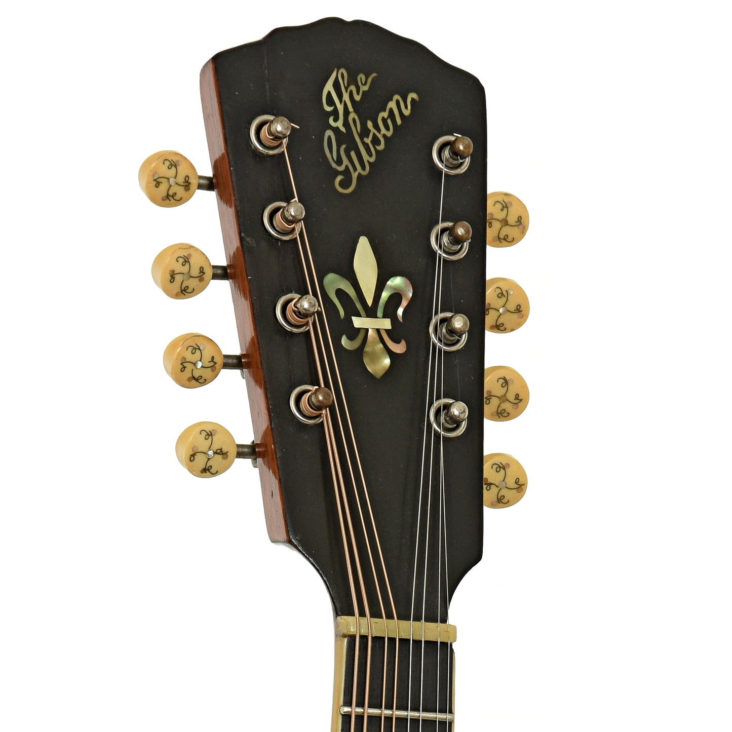 Headstock of Gibson A-4 Mandolin