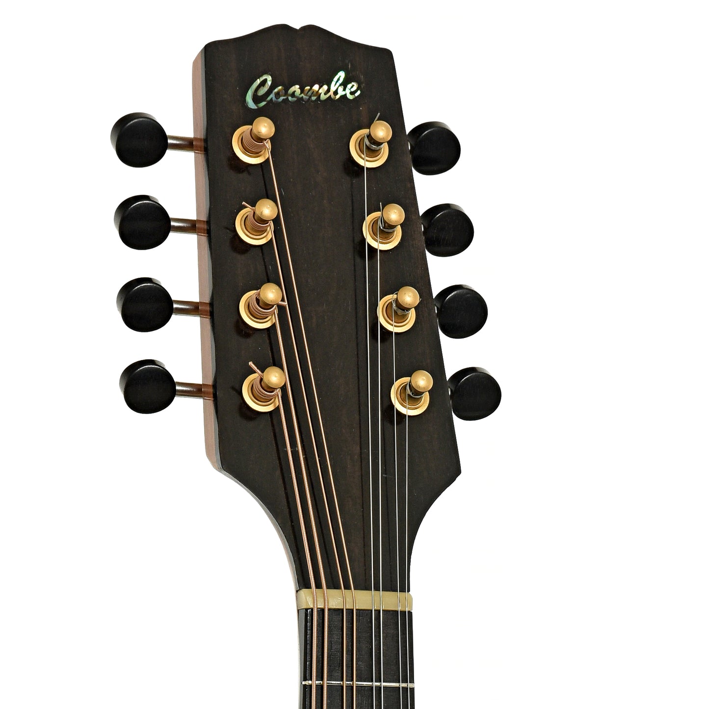 Headstock of Peter Coombe Custom A Mandolin