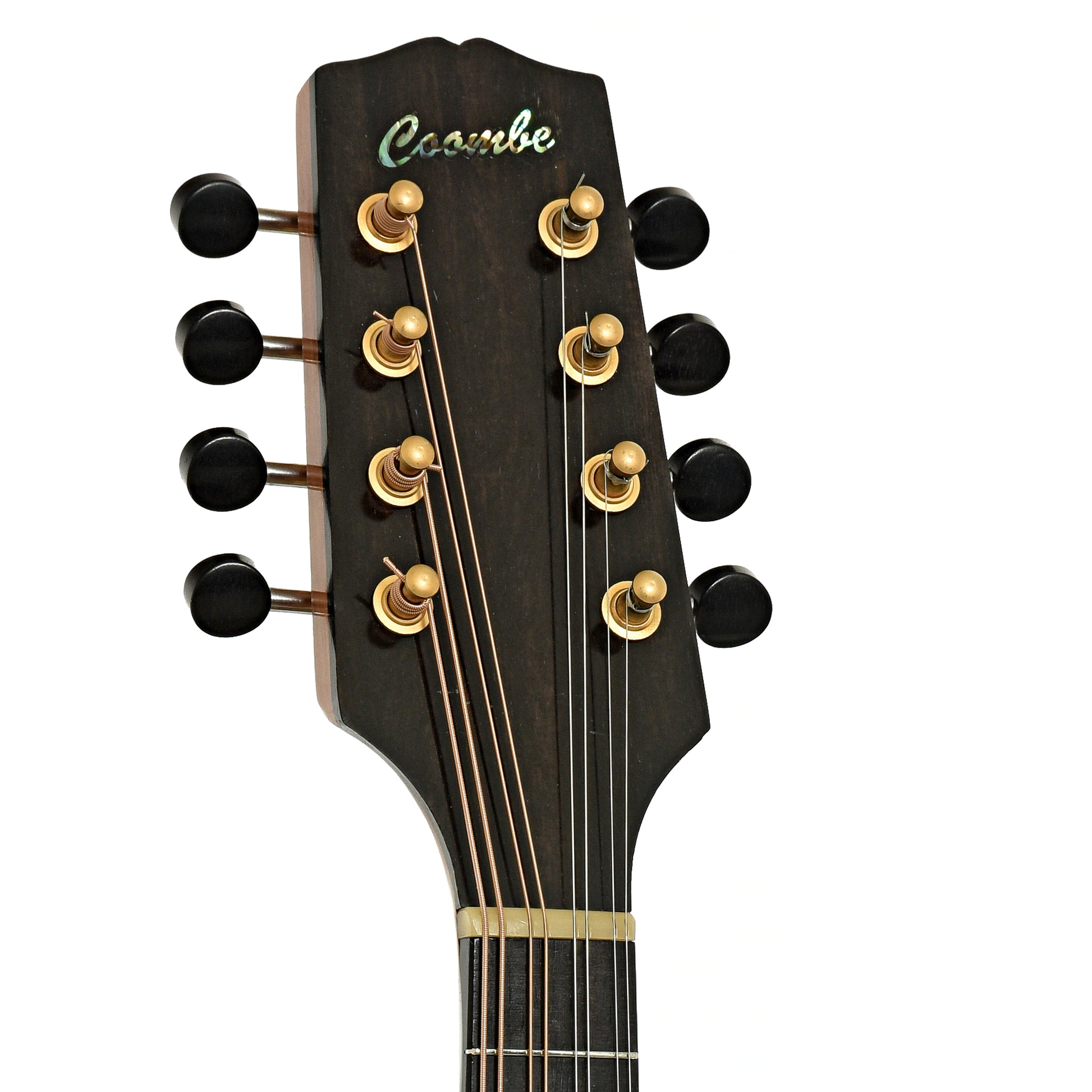 Headstock of Peter Coombe Custom A Mandolin