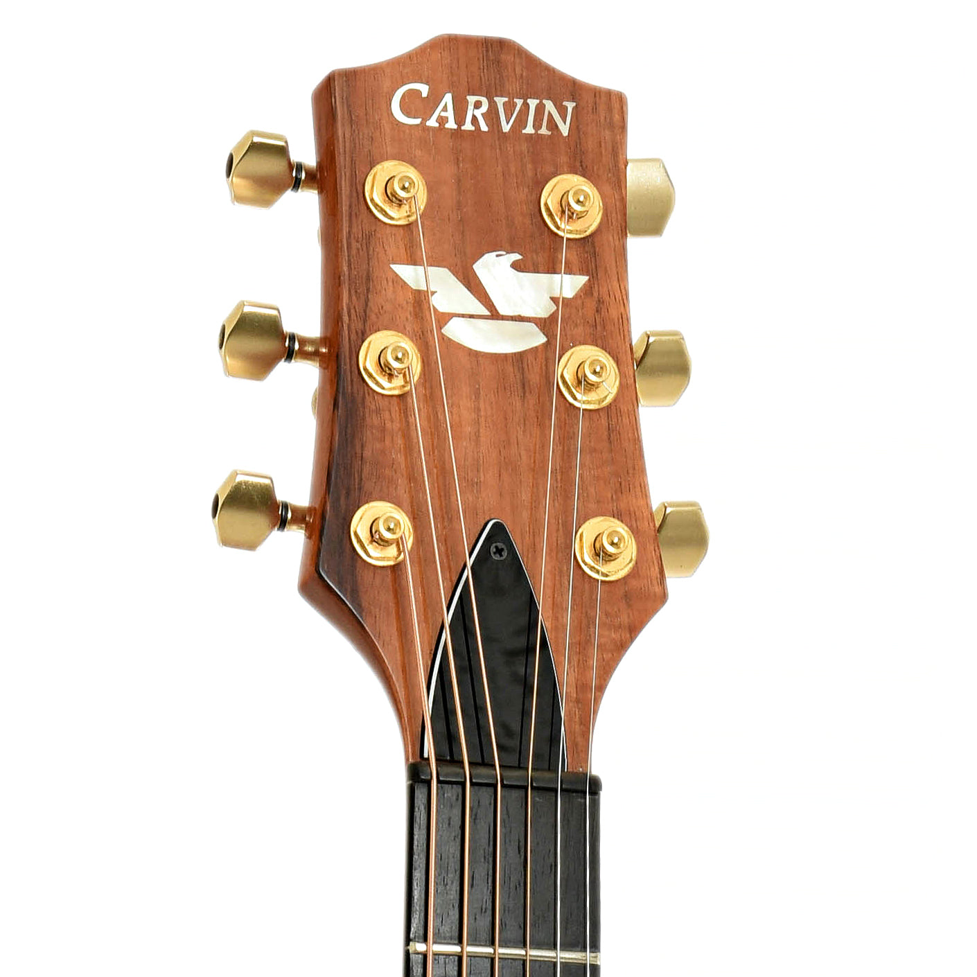 Headstock of Carvin CC-275 Craig Chaquico Acoustic Guitar 