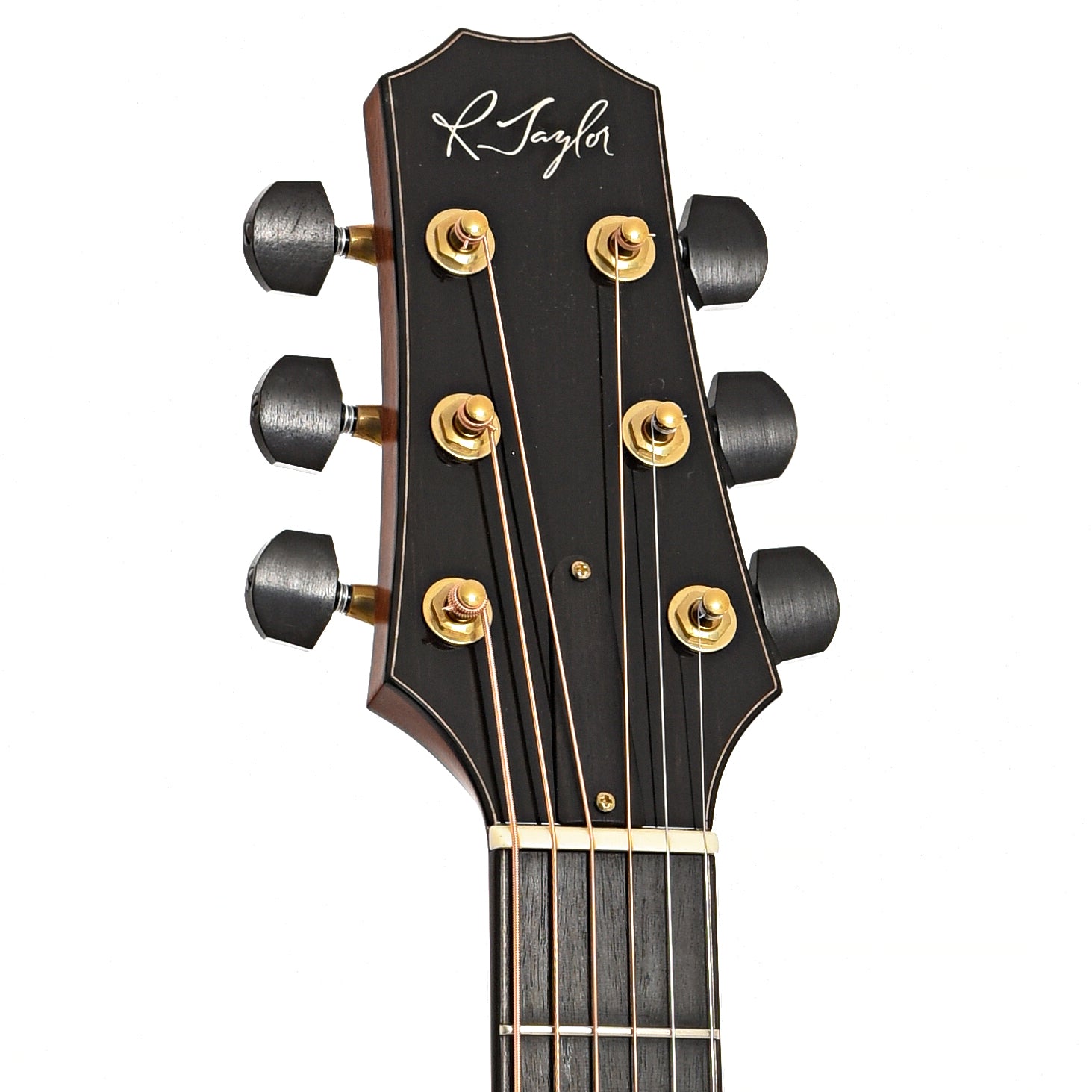 Front headstock of R. Taylor Style 1 Acoustic