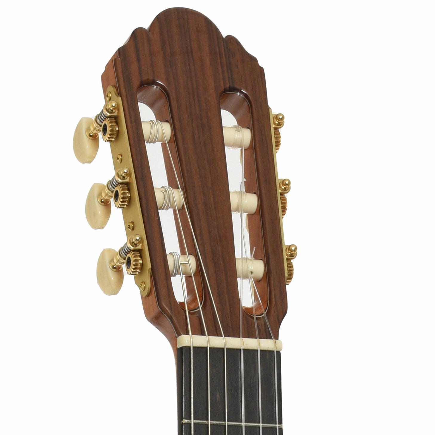 Headstock of Picado 53T64 Classical Acoustic Guitar 