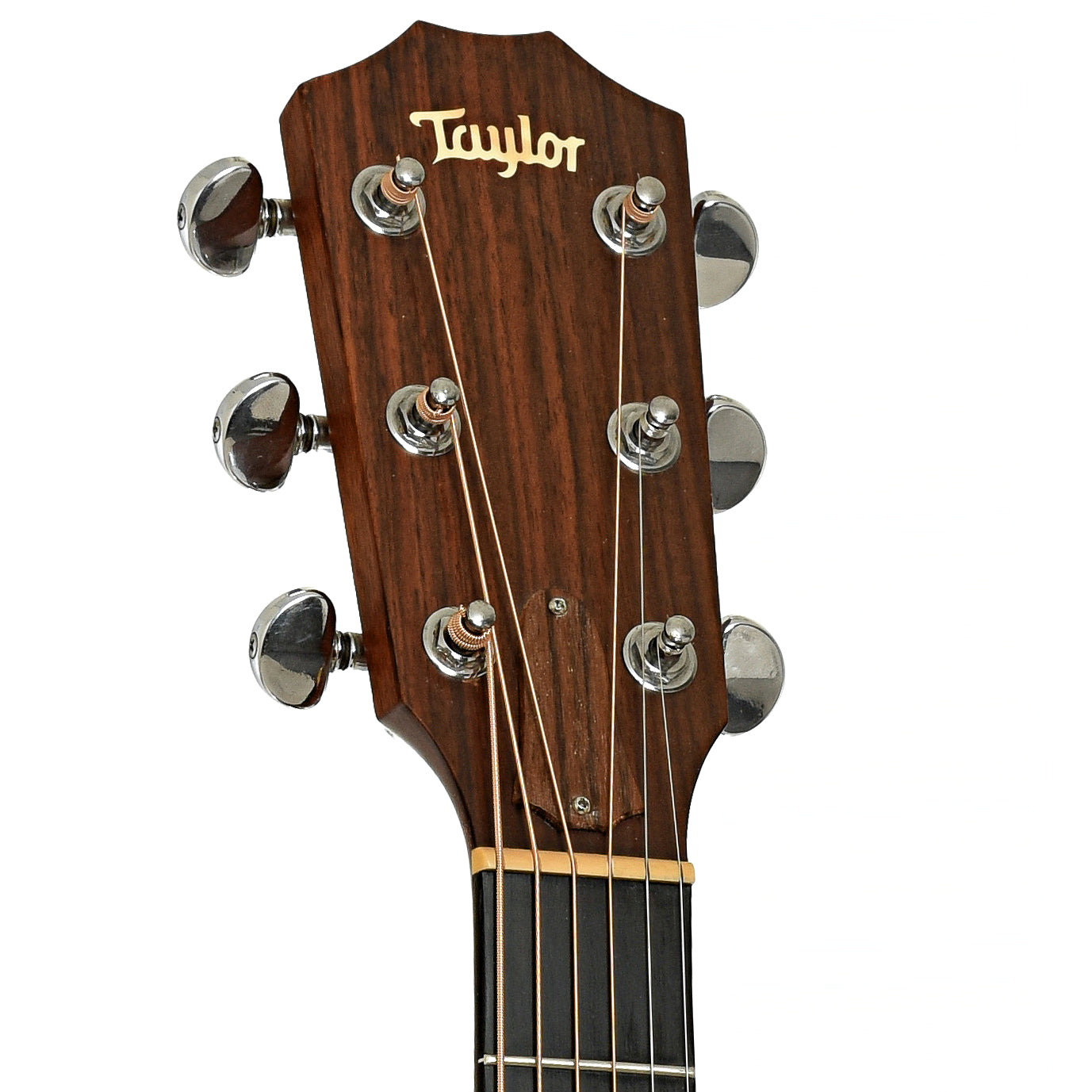 Headstock of Taylor 420 Rosewood Acoustic Guitar