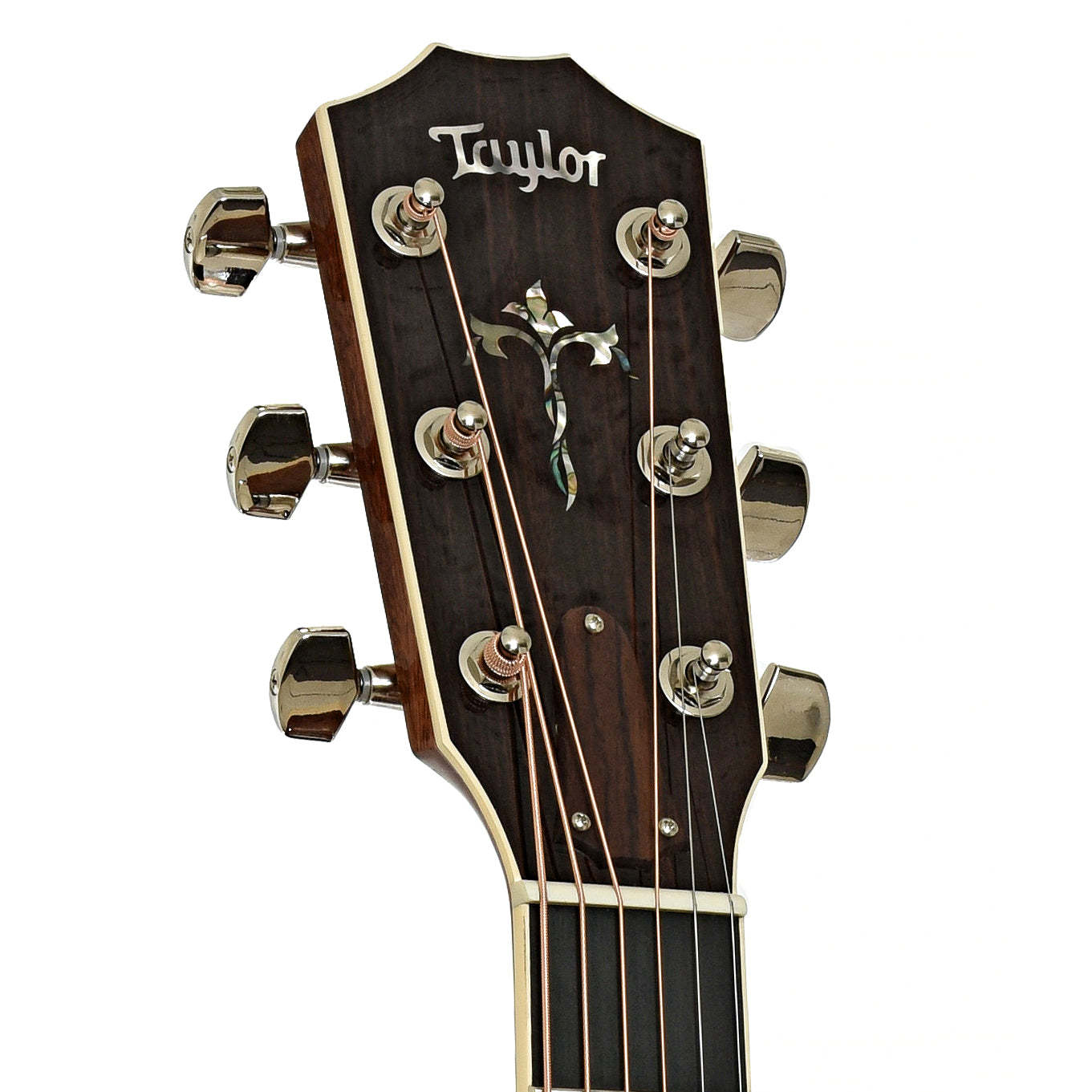 Headstock of Taylor Legacy 810e Special Edition Heritage Burst Acoustic Guitar & Case 